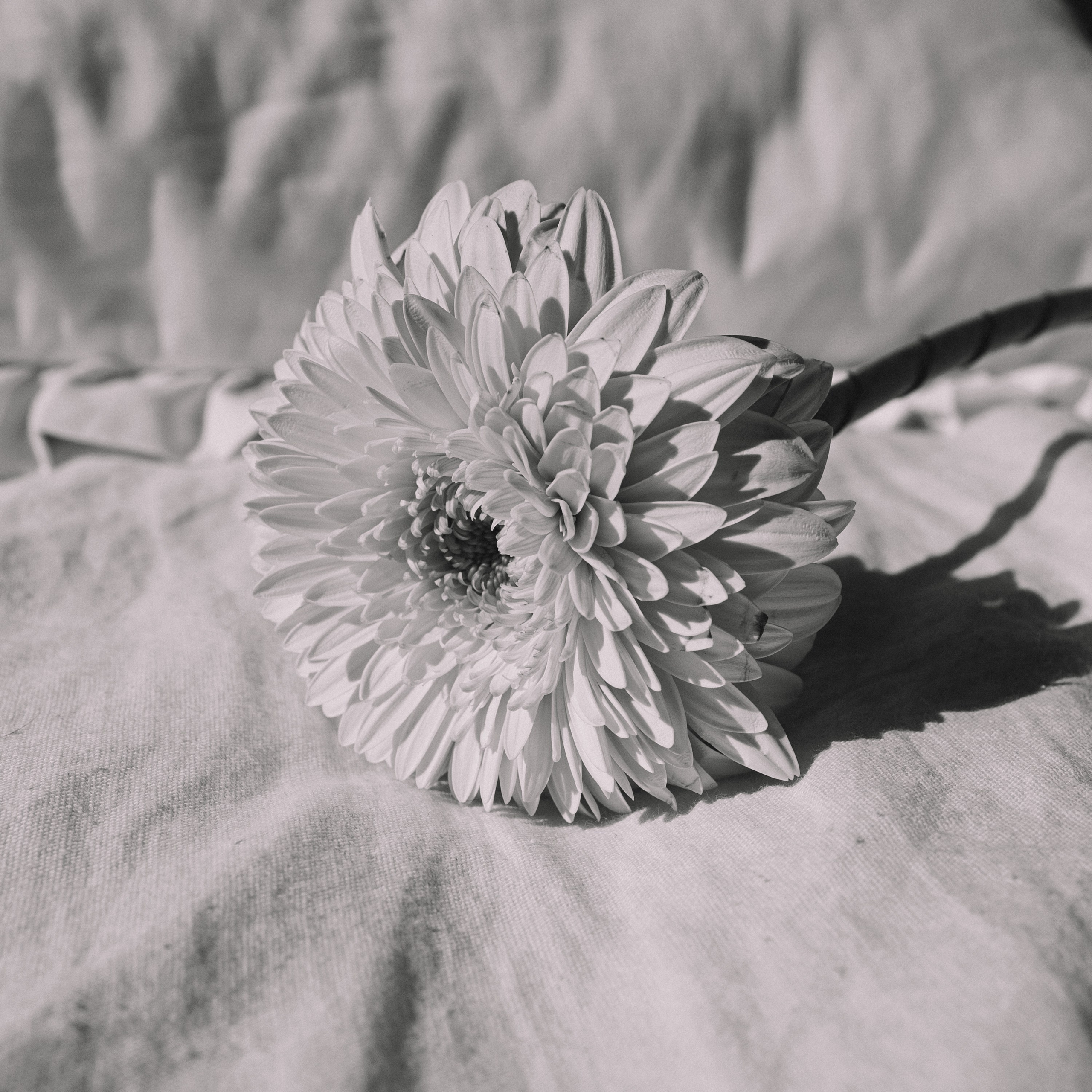 Даша & Слава. Фотограф из Хабаровска Юлия Черёмушкина