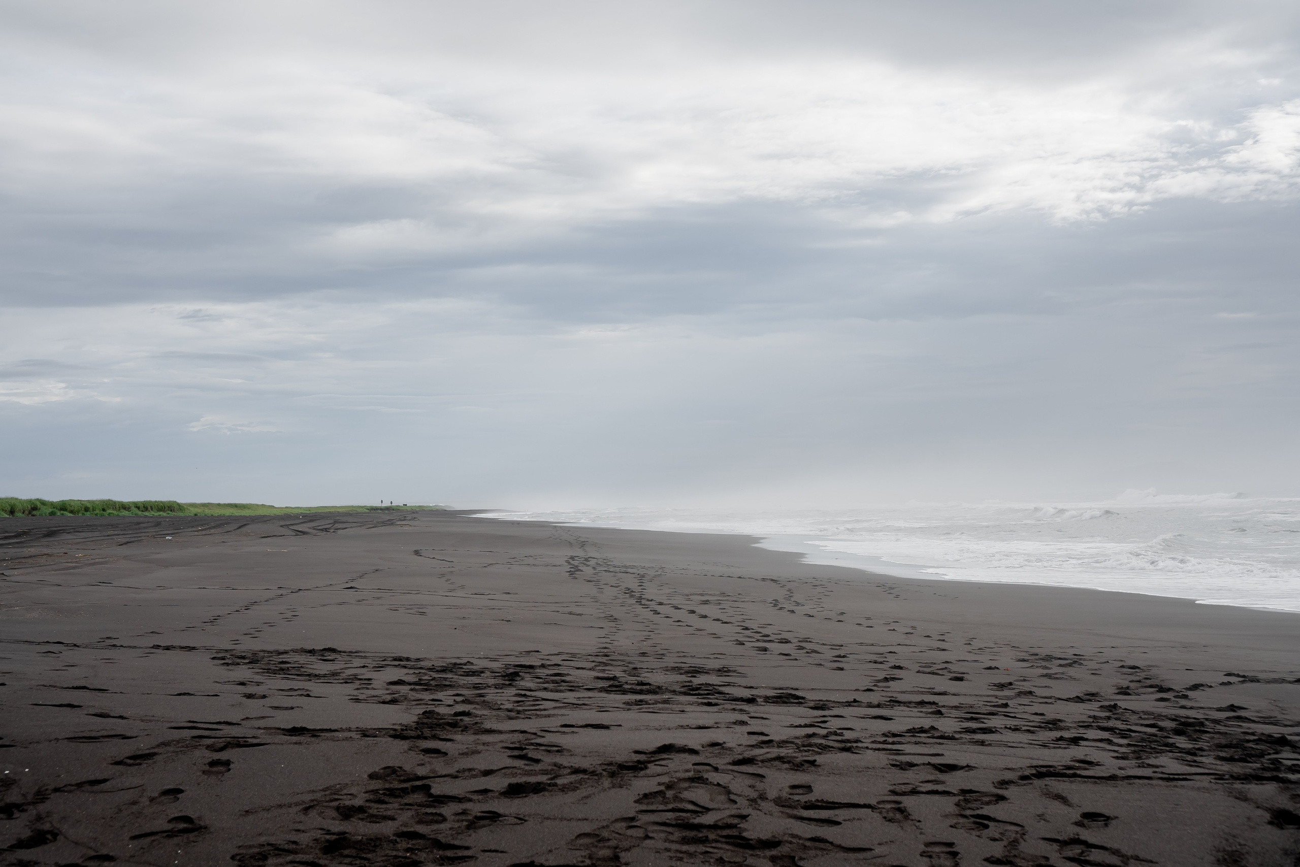 ТИХИЙ ОКЕАН. Профессиональный фотограф, Санкт-Петербург — Виктория Богомолова