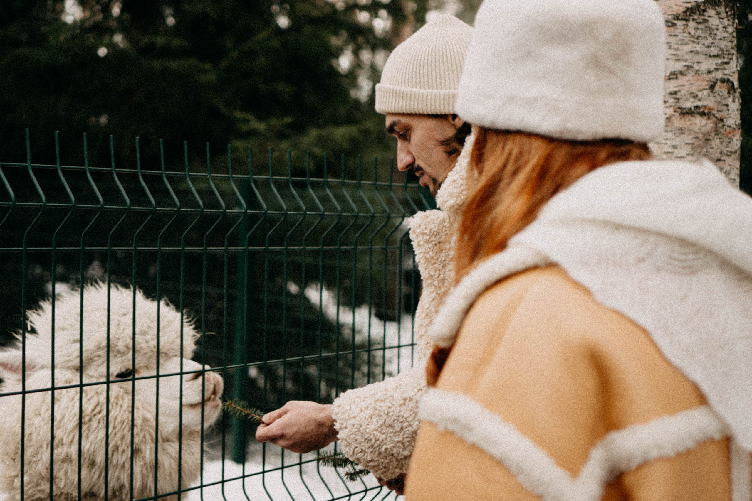 Каток. Профессиональный фотограф, Санкт-Петербург — Виктория Богомолова