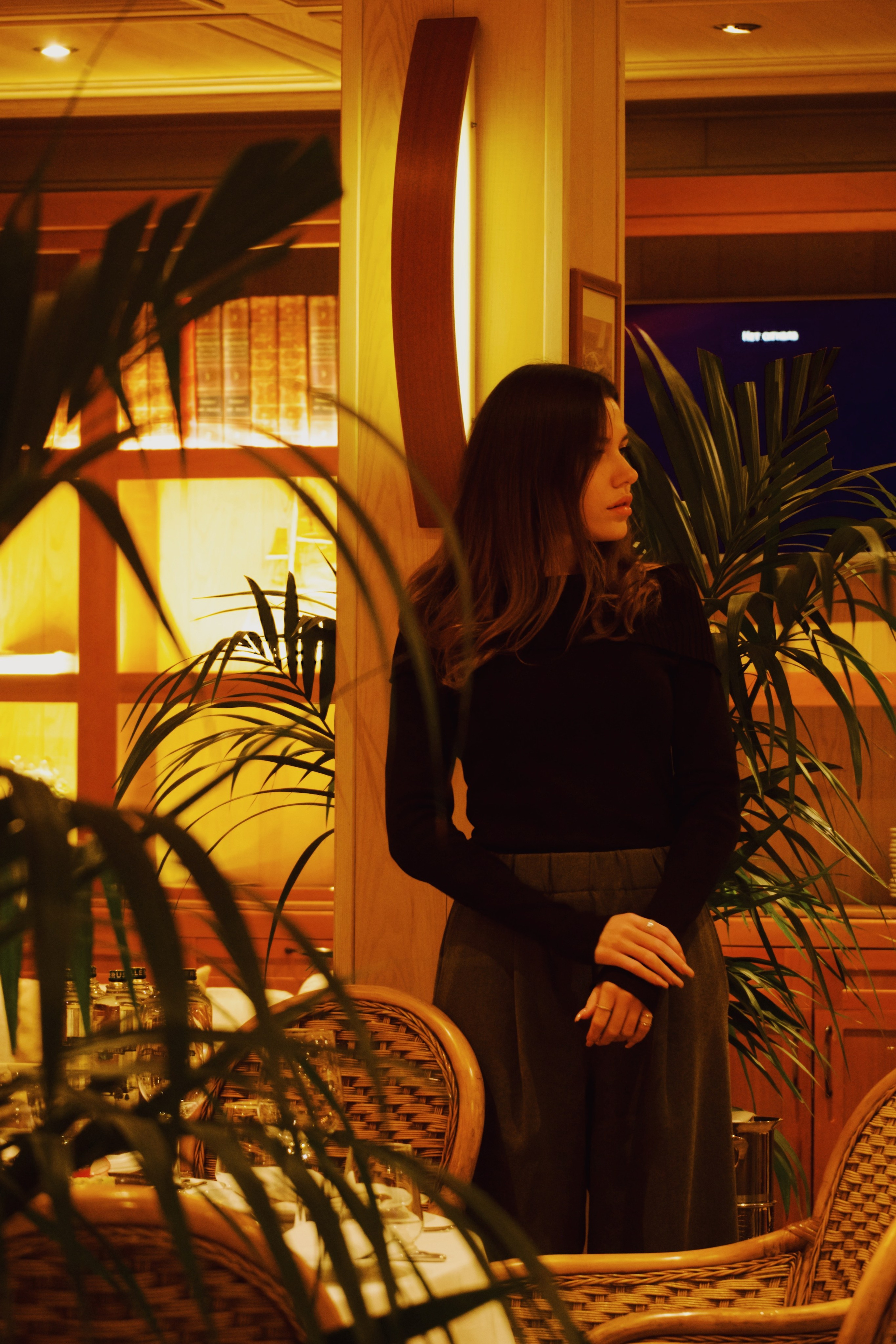 Вечер в Чайке. Татьян гертье