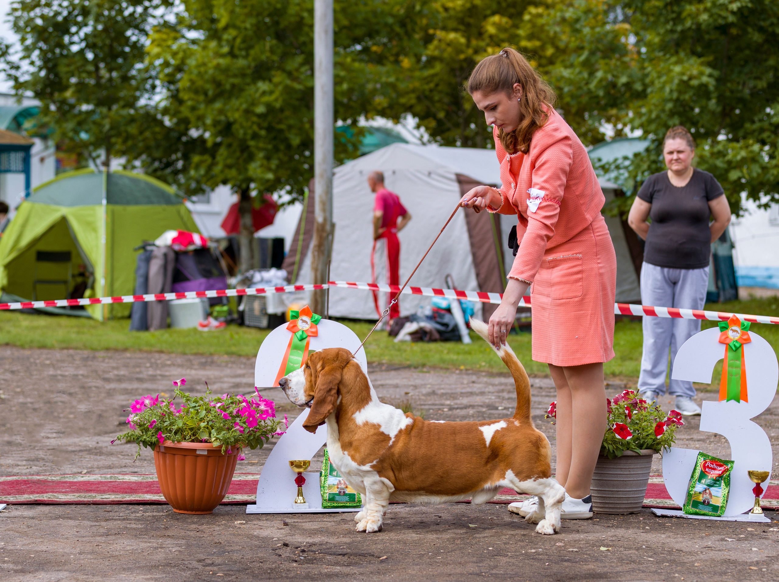 Выставки. Фотограф — анималист Татьяна Ли