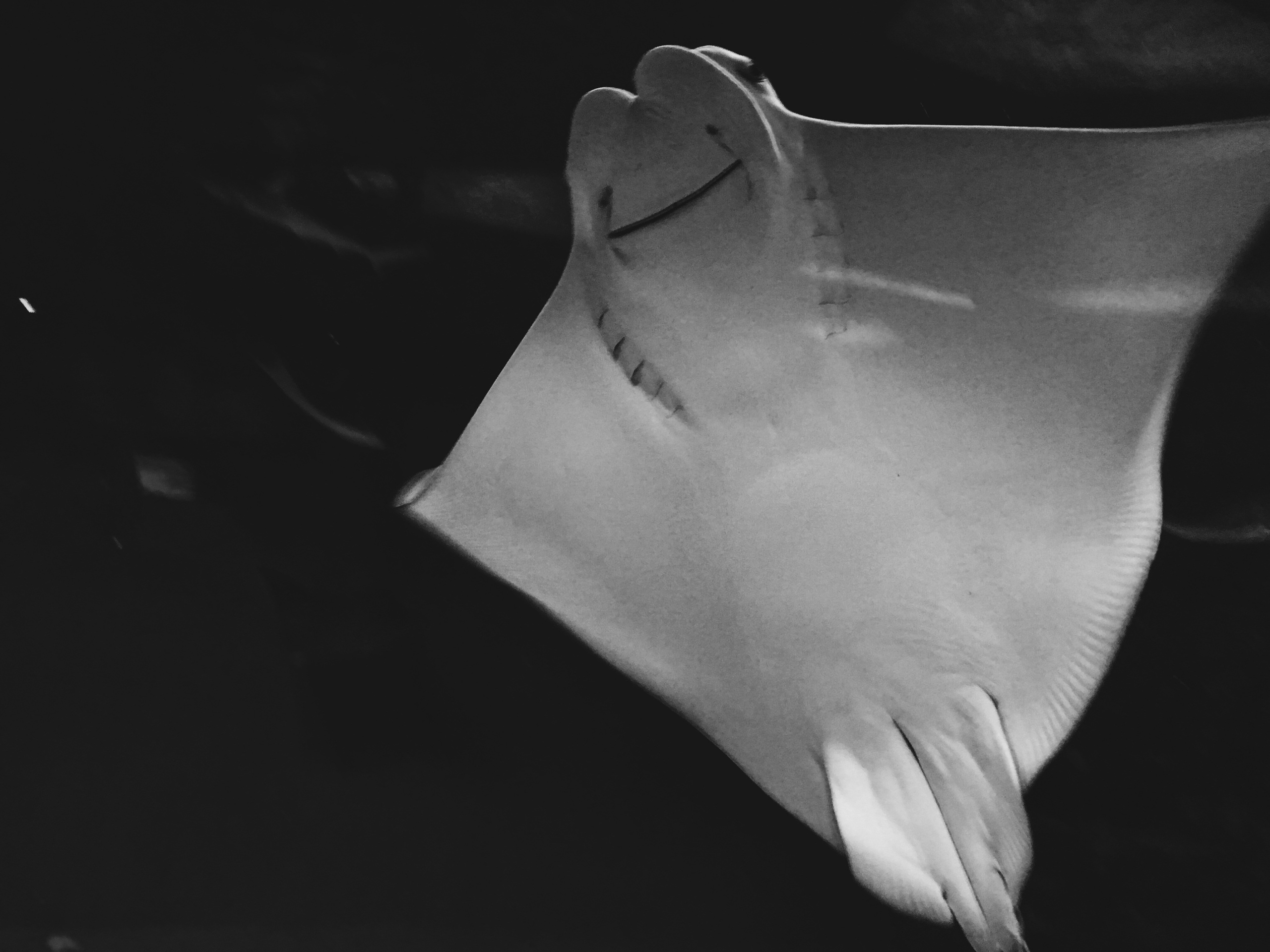 Визуальный дневник. Портретный фотограф в Москве Гахраманова Екатерина