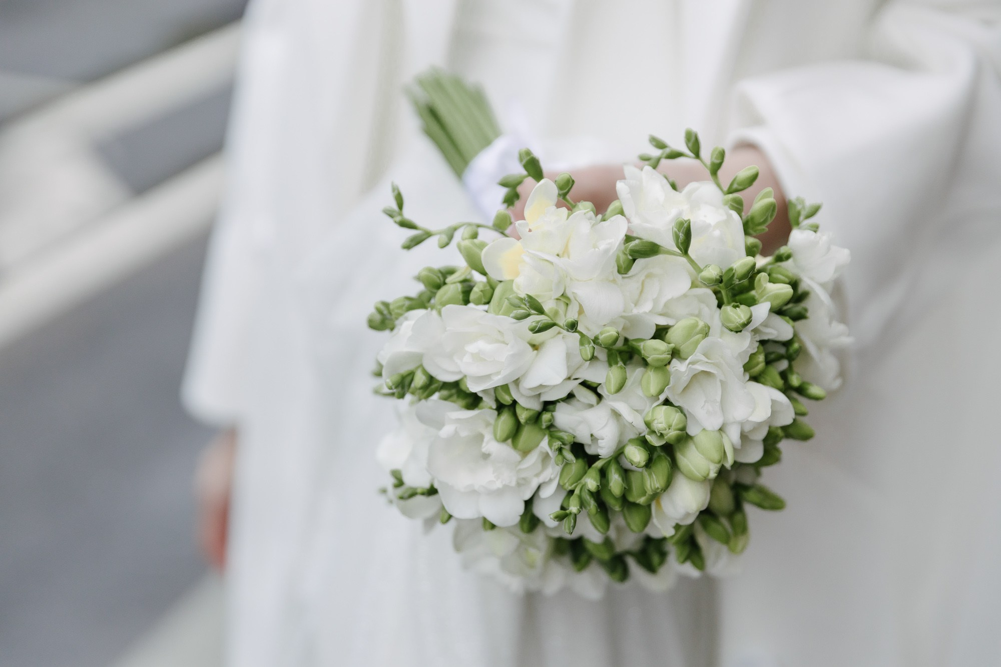 Вероника и Артем. Фотограф-видеограф в Москве