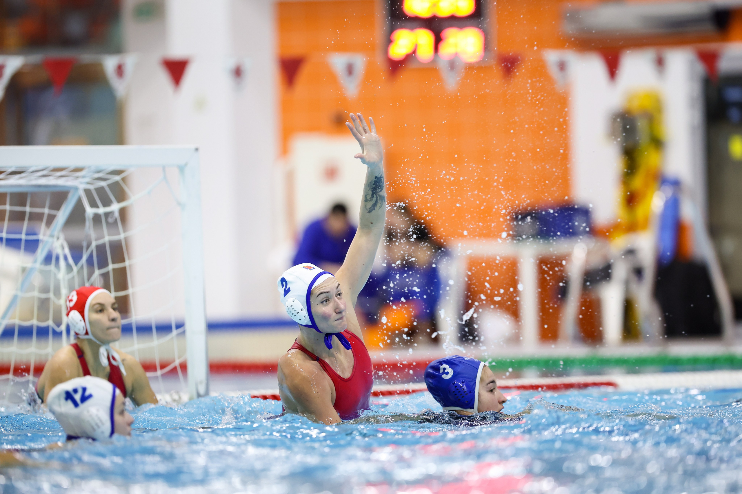 ВК «Диана» — ВК «Буревестник». Спортивный и репортажный фотограф Антон Тереханов