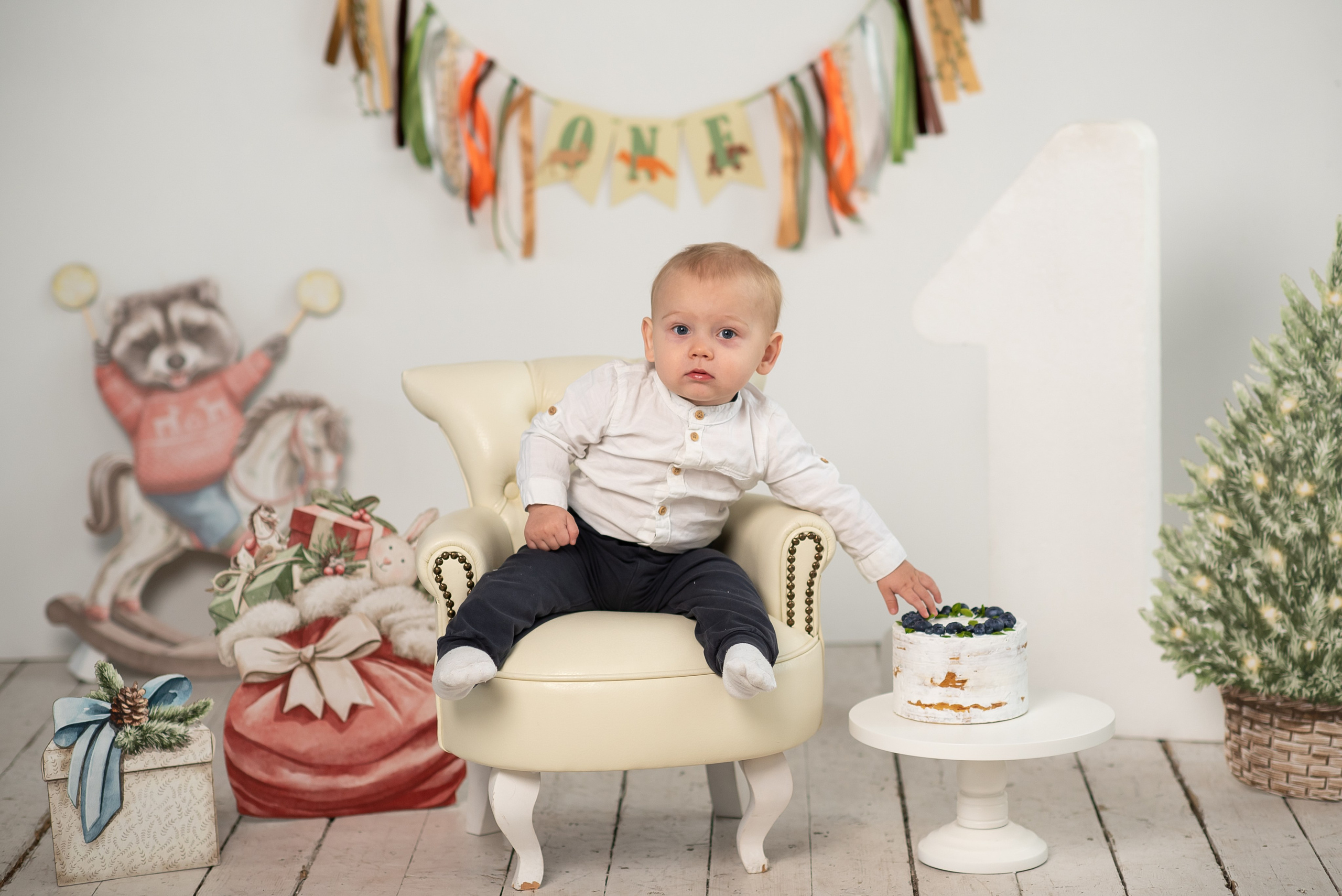 Фотостудия Колибри (Кулагина, 17). Фотограф Мария Усманова, Казань