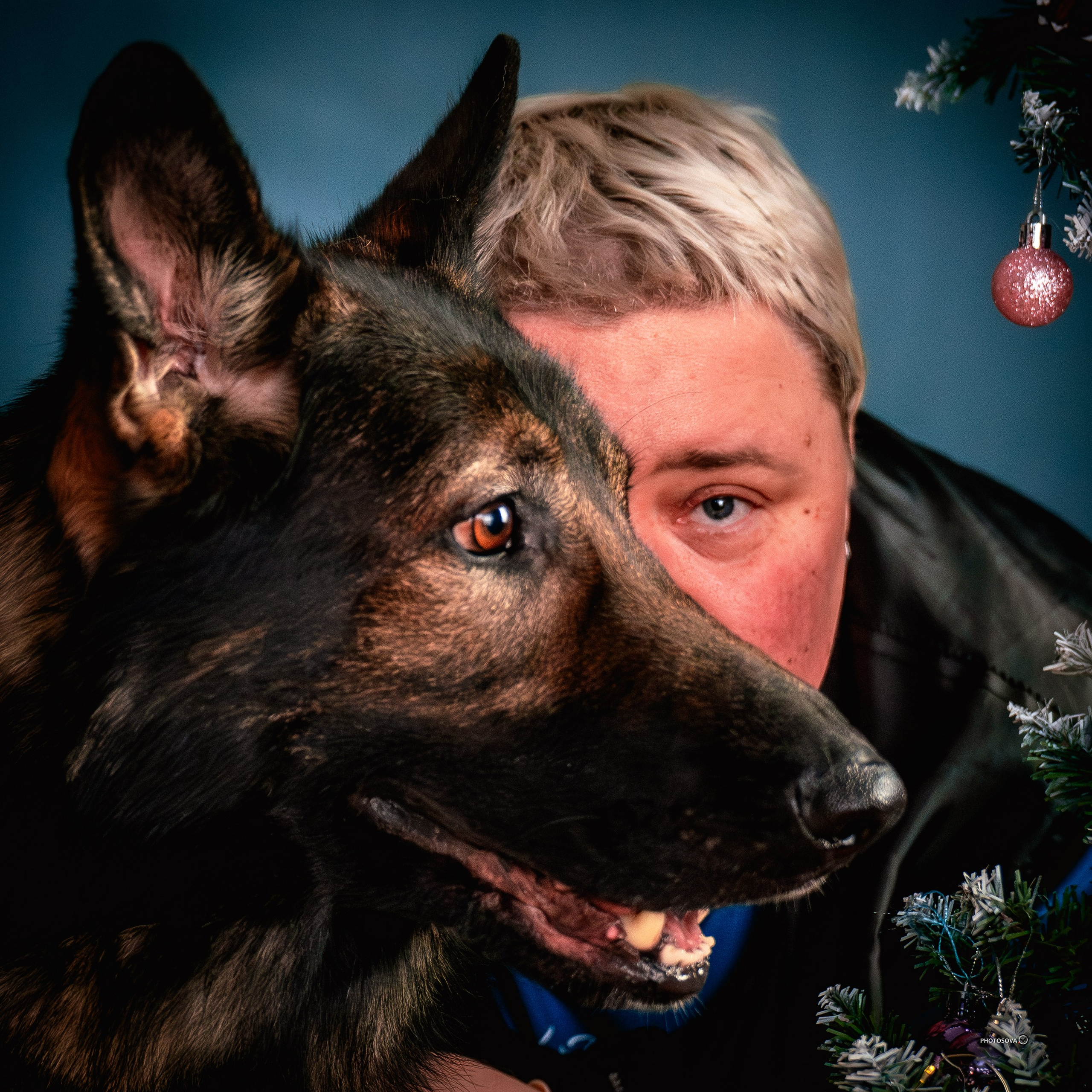 ФОТОПАМЯТЬ ВАШИХ ЭМОЦИЙ. Фотограф-анималист, семейный фотограф в Москве и Подмосковье. Фотосъёмка кинологических дисциплин