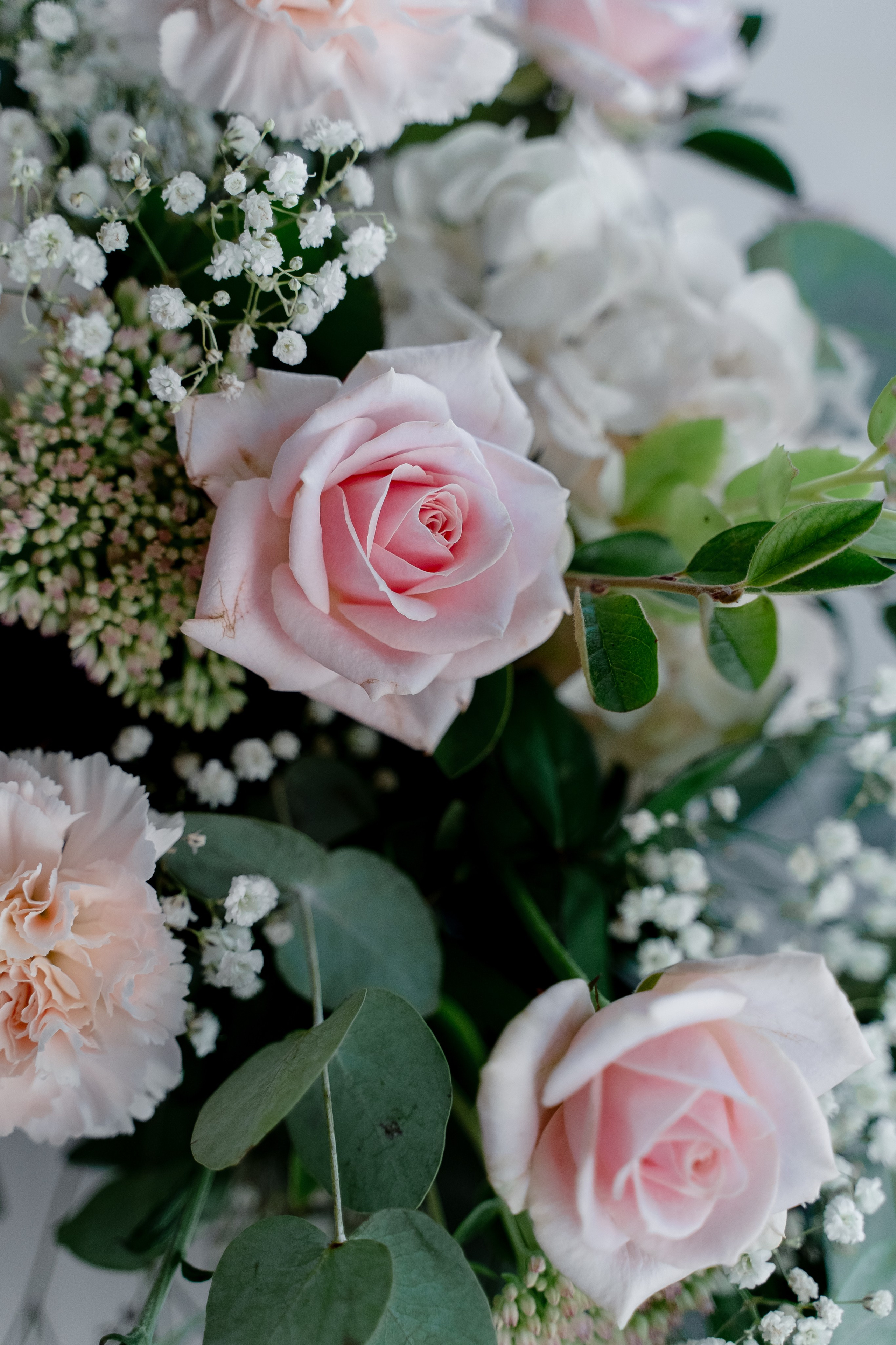 Сергей & Анастасия. RETOUCH-HOUSE