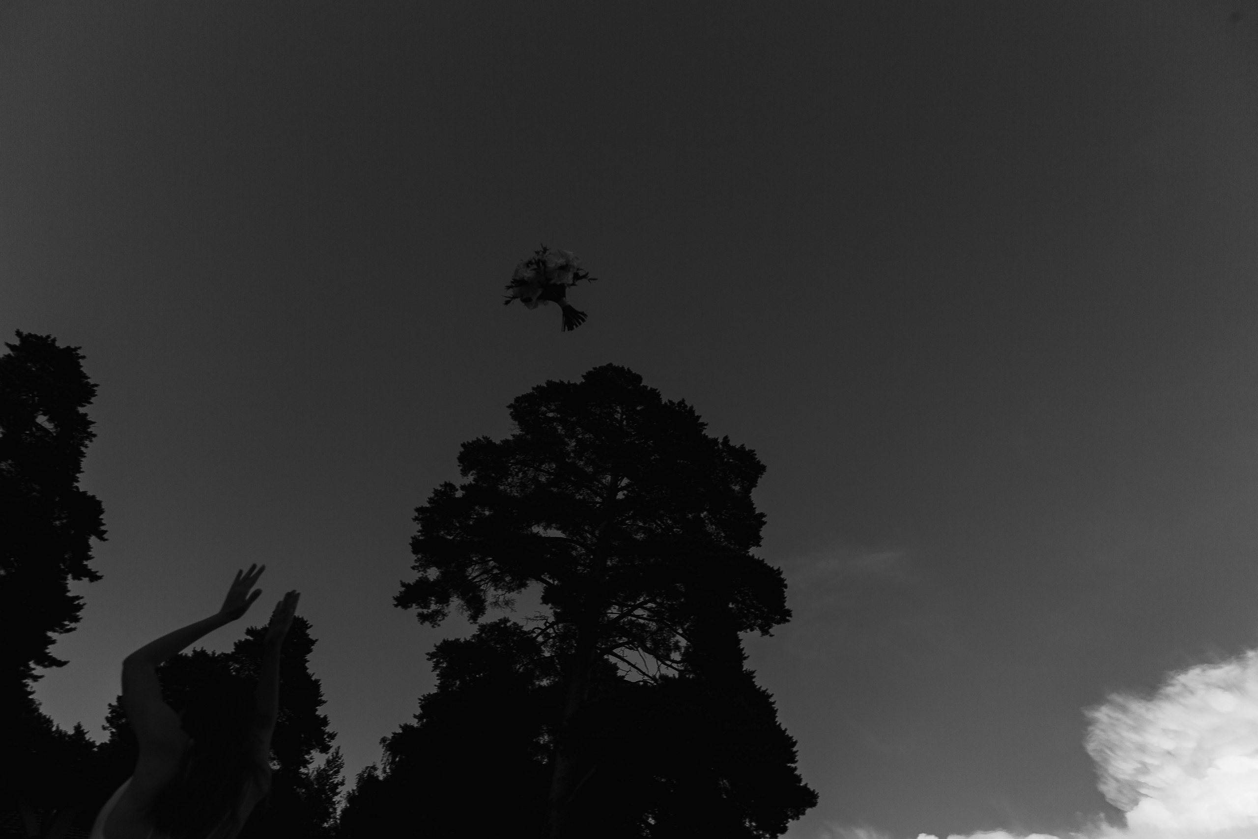 23.07.2024. RETOUCH-HOUSE