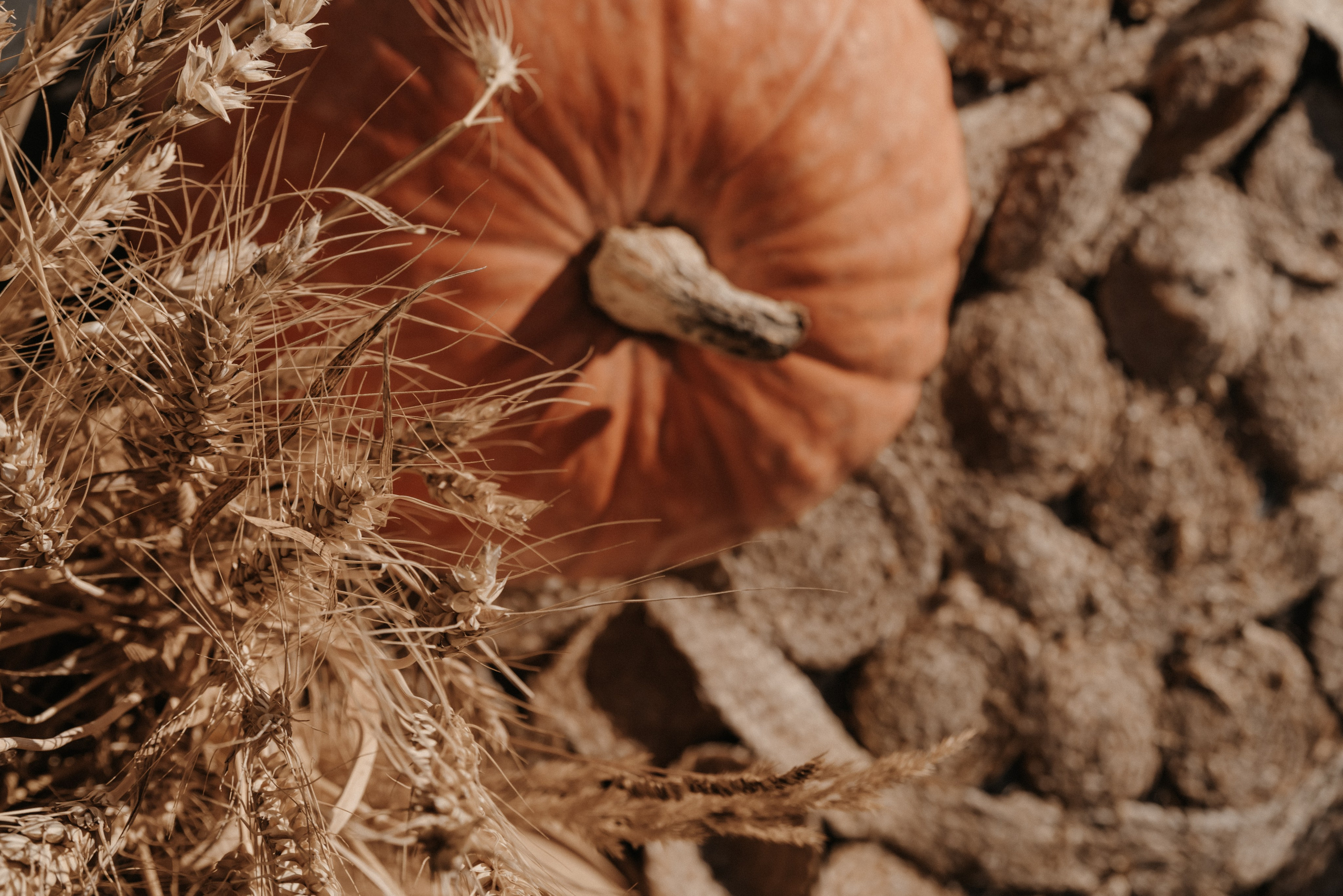 Корпоратив и оформление фотозоны в стиле ранчо). Фотограф Светлана Воронцова
