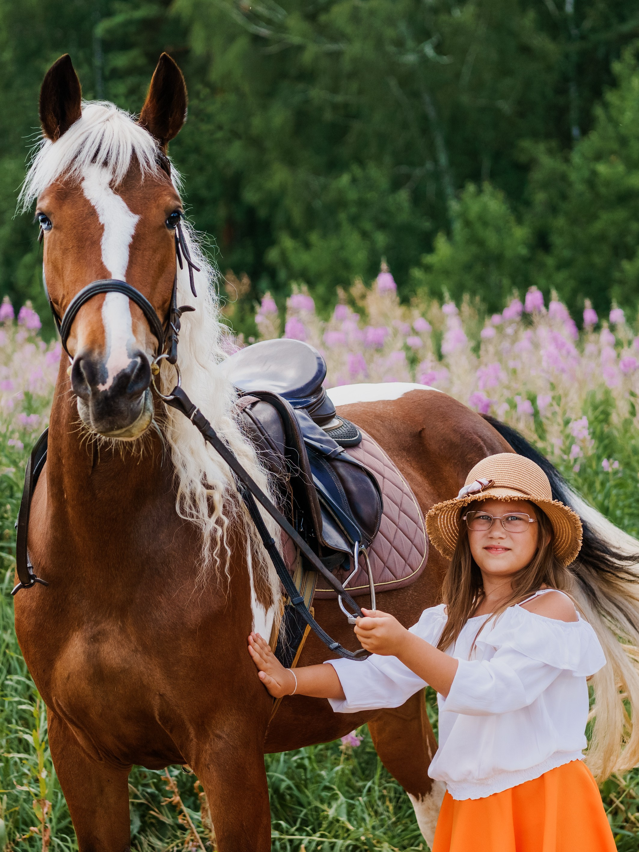 Life with horse. Saamill