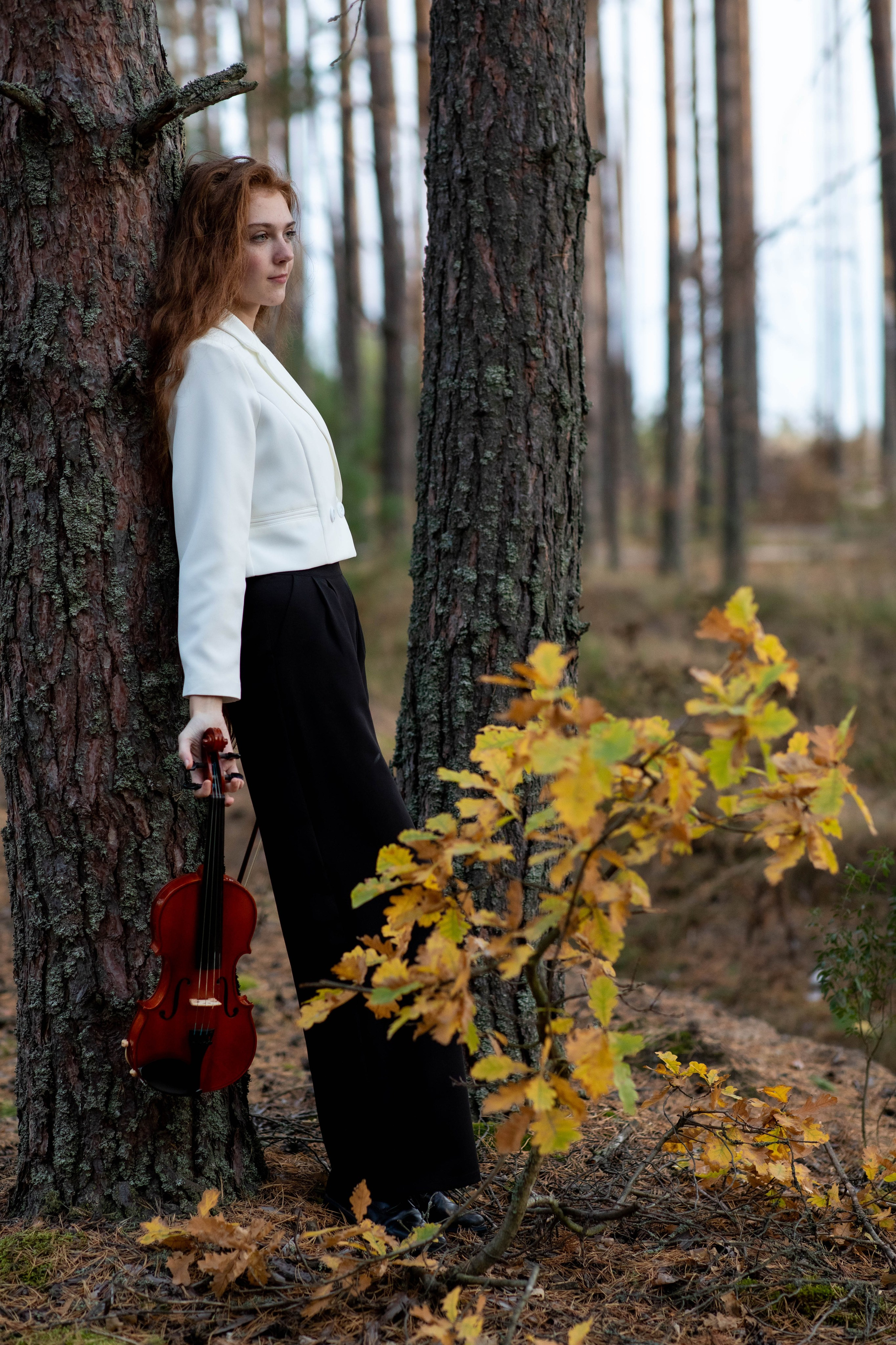 Скрипка и осень