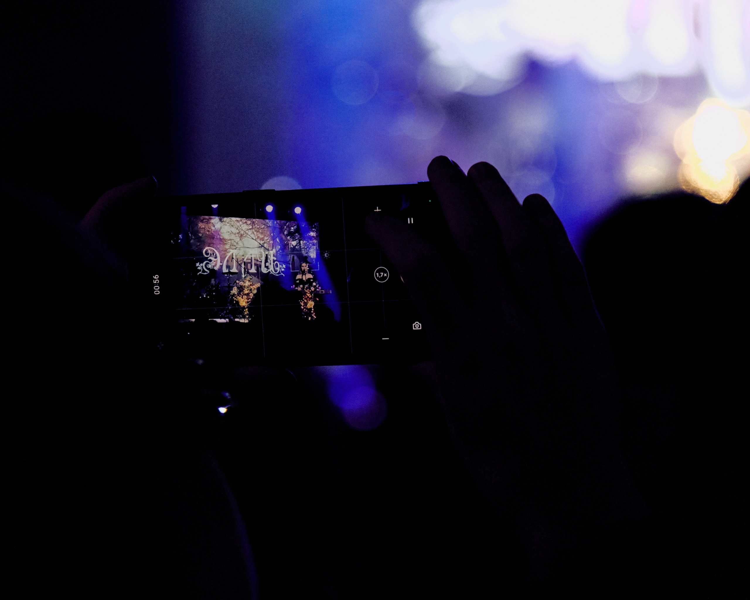 КОНЦЕРТЫ. ФОТОГРАФ В ЕКАТЕРИНБУРГЕ НАСТЯ MUSE