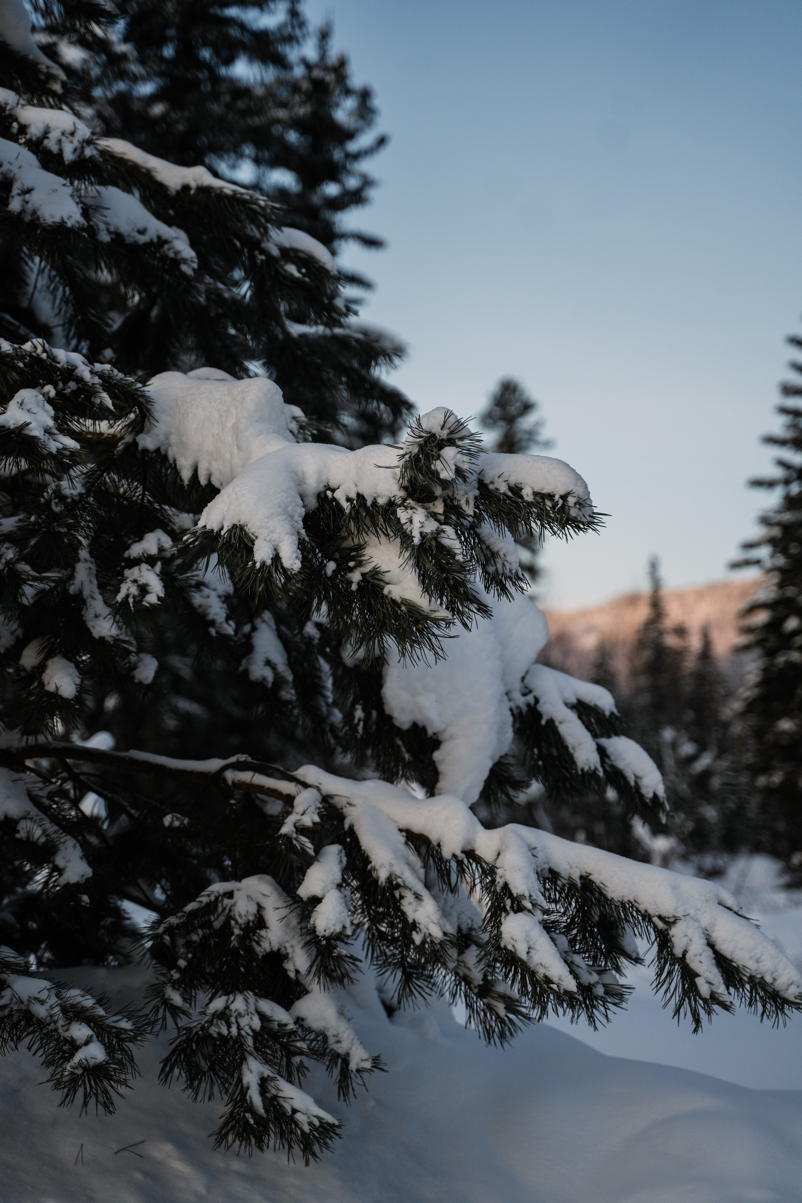Гостевой дом София. Фотограф Ольга Пучкова
