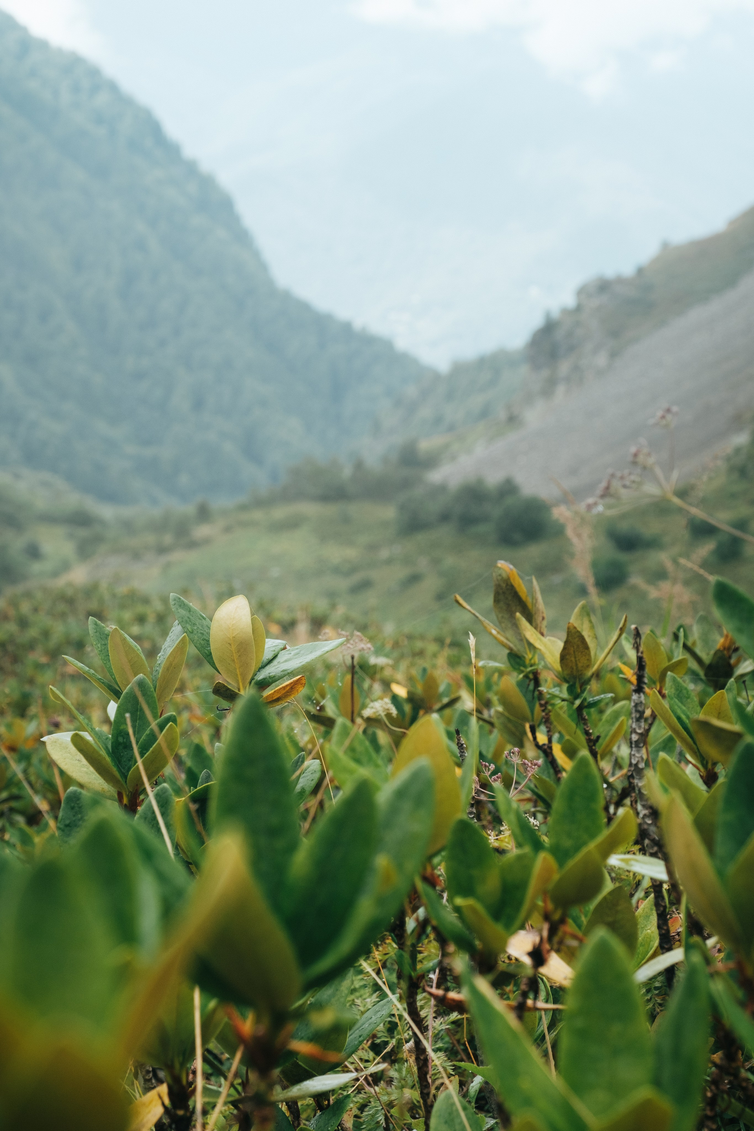 Горная карусель. Свадебный Видеограф Фотограф в Сочи