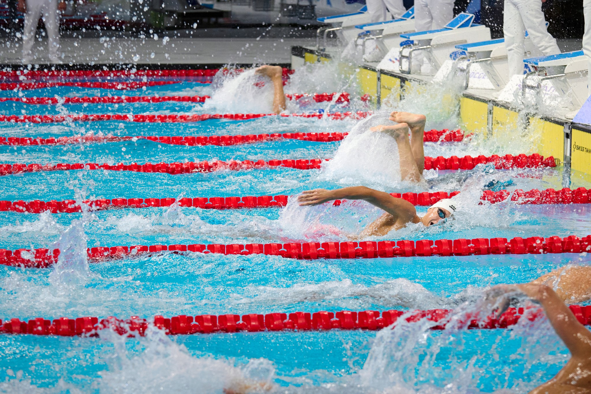 Кубок России по плаванию 2024 г. Екатеринбург. Мезенцев Евгений фотограф