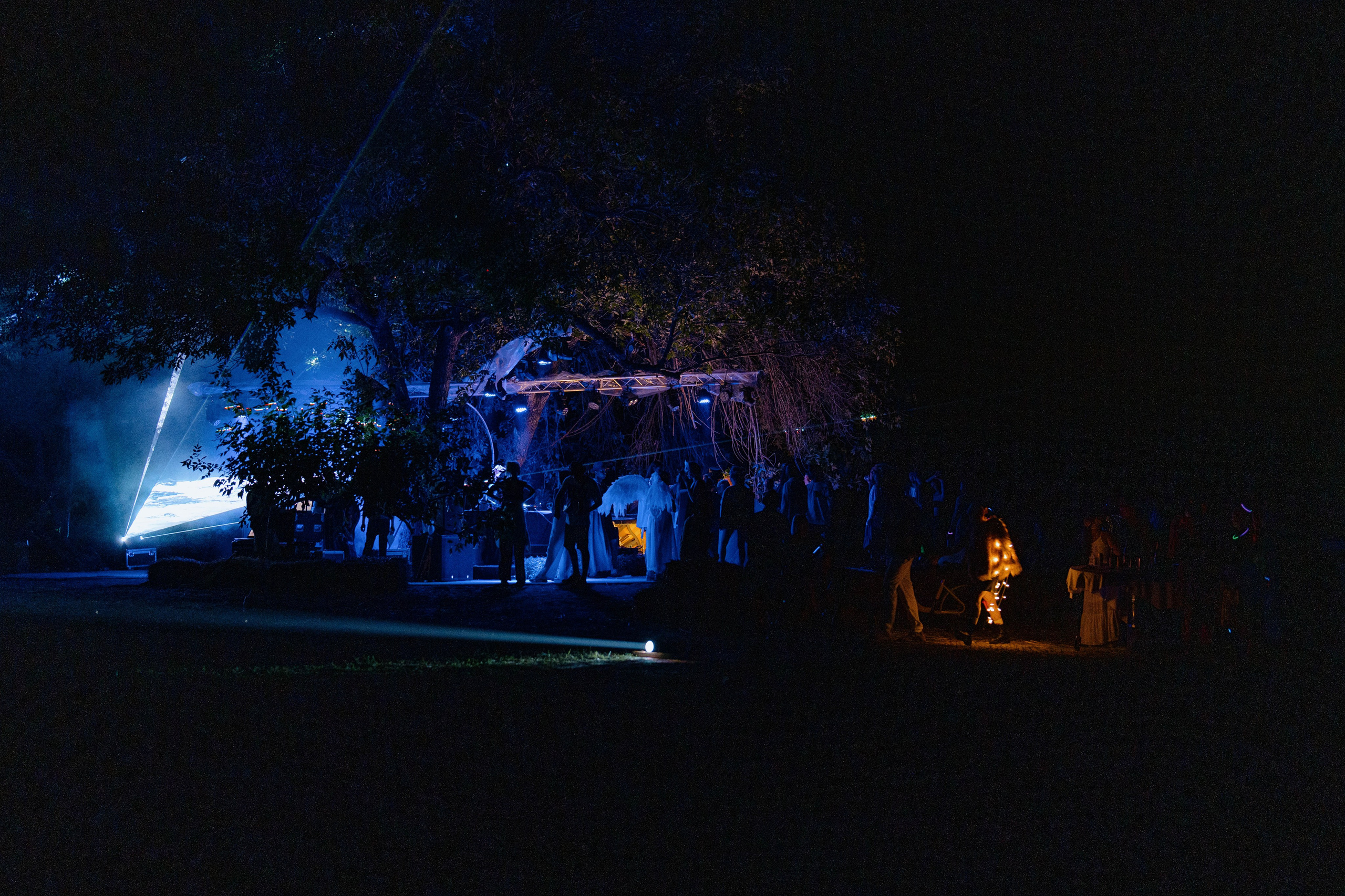 ASS FAMILY | СОН В ДЕРЕВНЕ | АВИАРЕЖИМ 8.0