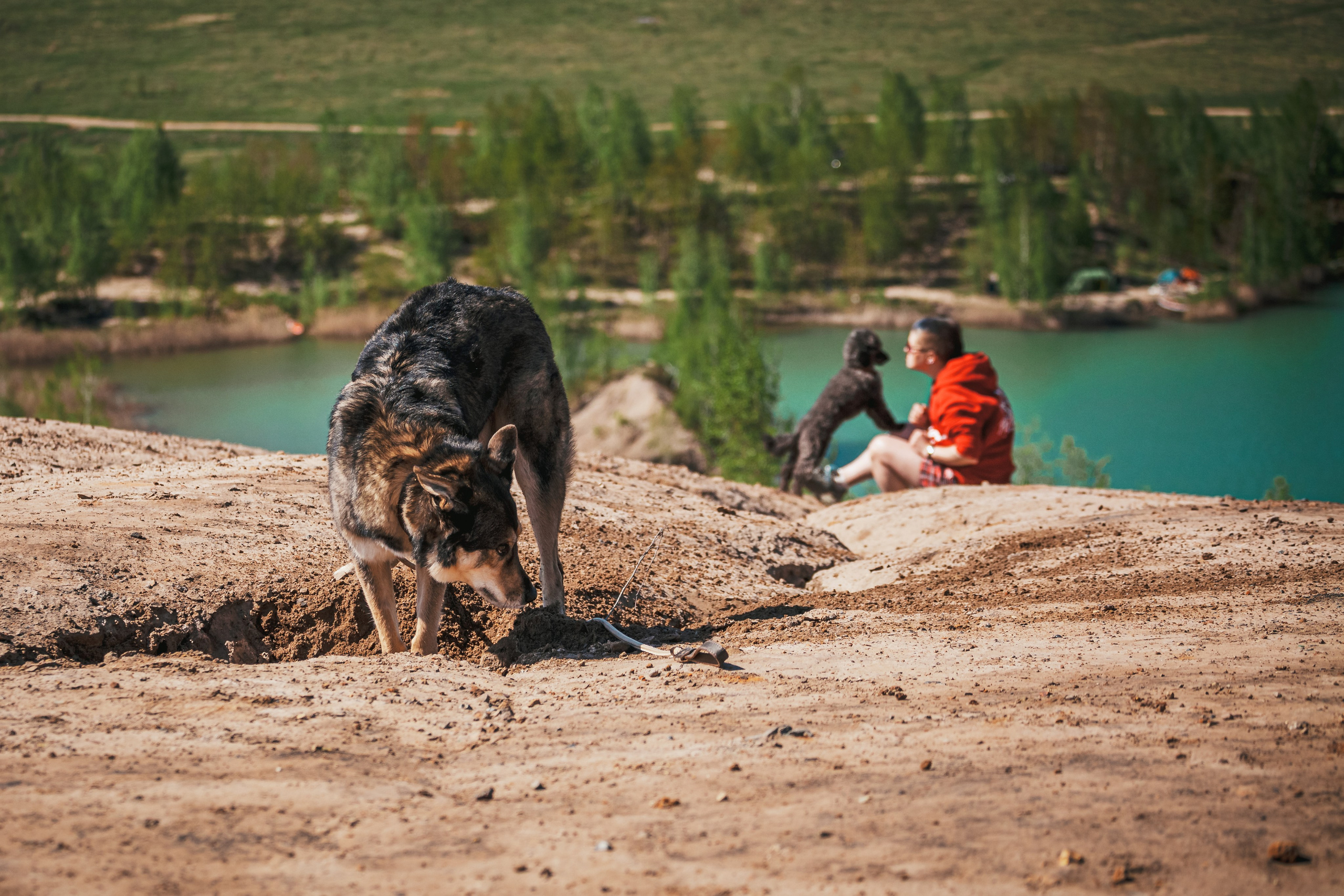 Кондуки. Фотограф-анималист Татьяна Степанова