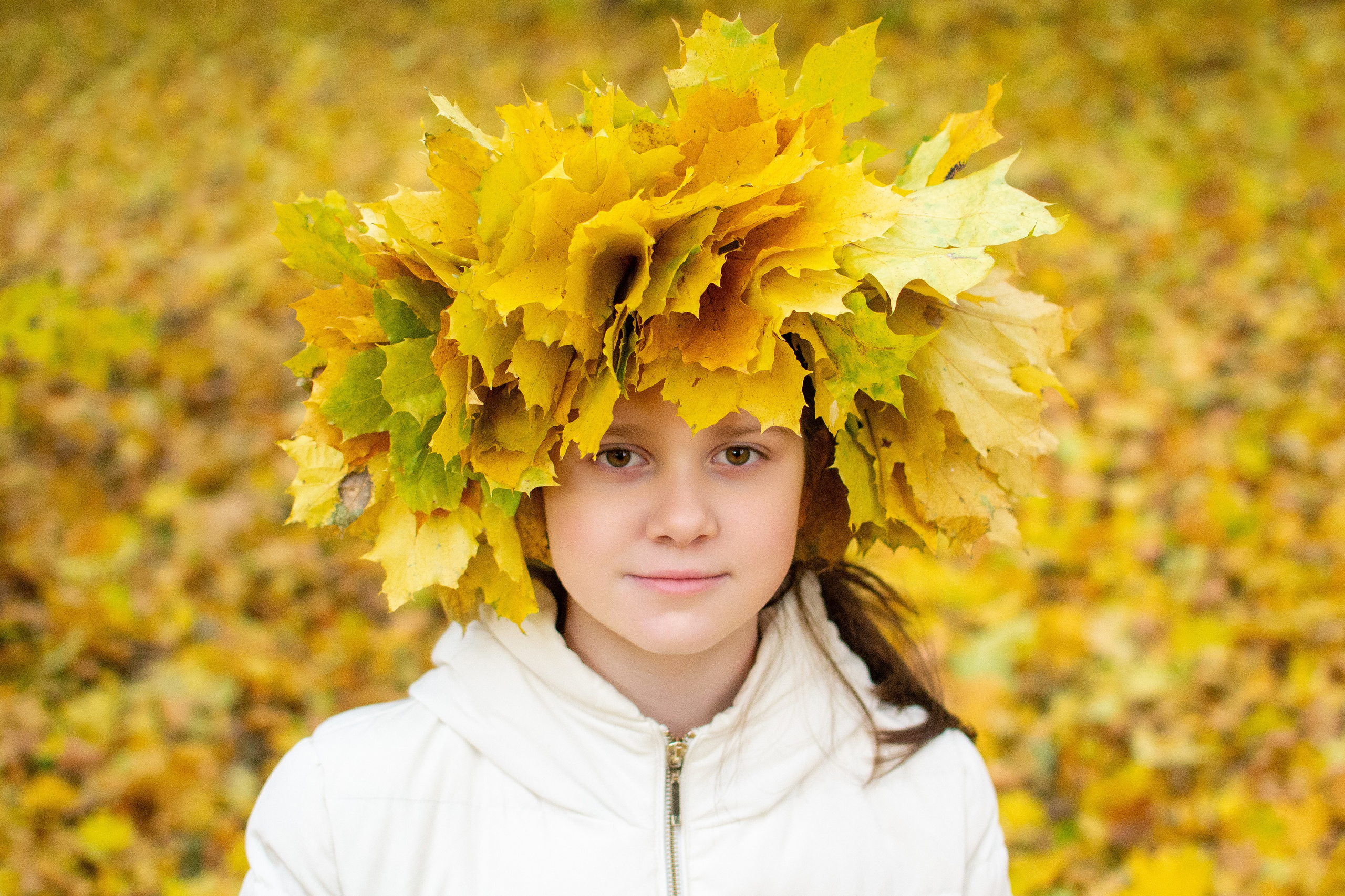 Старенький Nikon 3100 и nikkor 35 mm 1.8 (фото проявленные из RAW-NEF файлов). Фотограф в Туле Крупский АнДРей. Фотостудия «КАДР71» в Туле