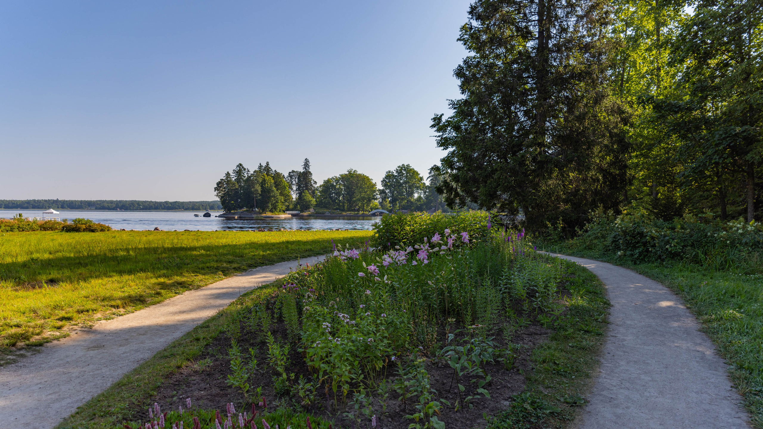 2025 07 Выборг — Сортавала — Великий Новгород — Псков. Фотографии
