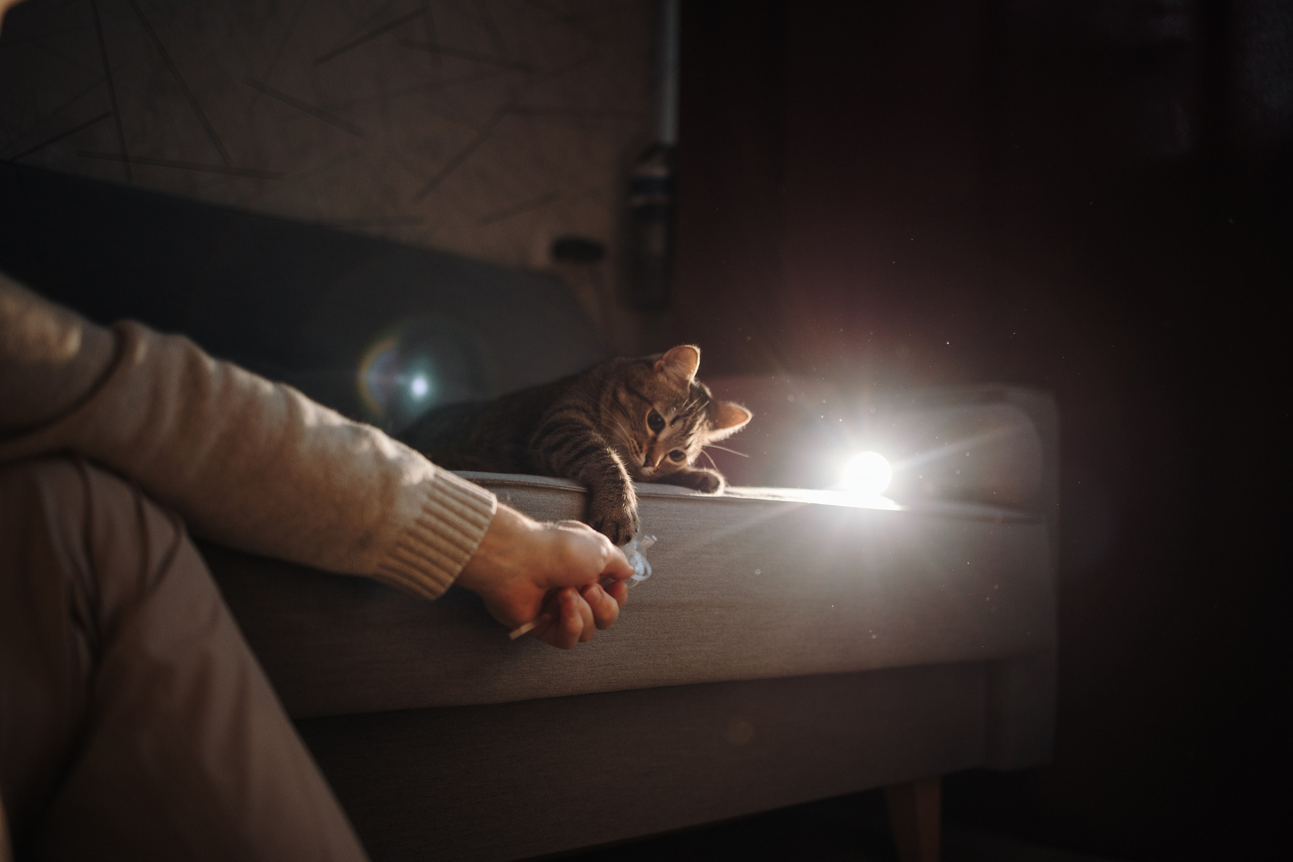 Мася и ее семья. Фотограф — Анималист | Санкт-Петербург