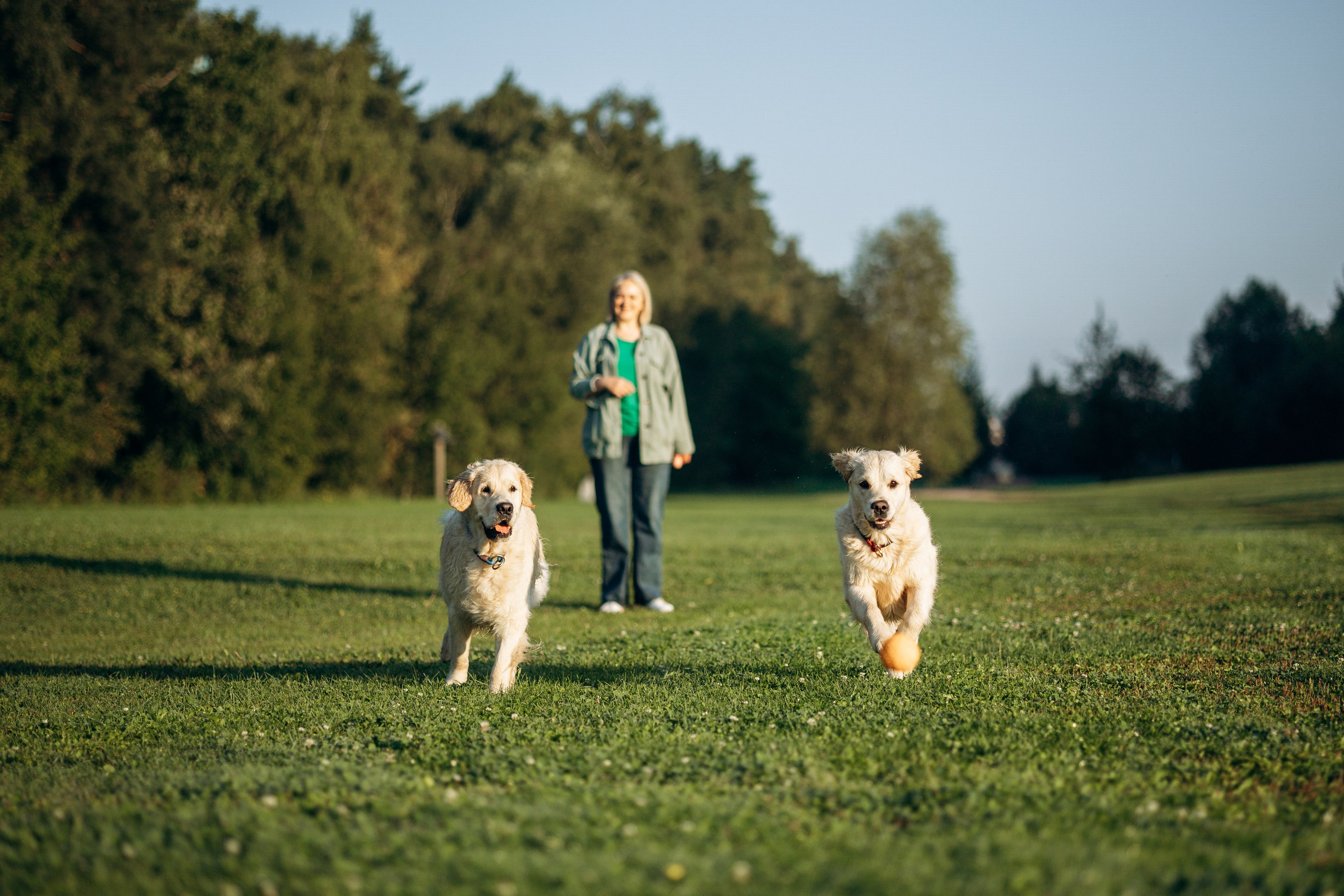 Ирина и ее золотинки. Фотограф — Анималист | Санкт-Петербург