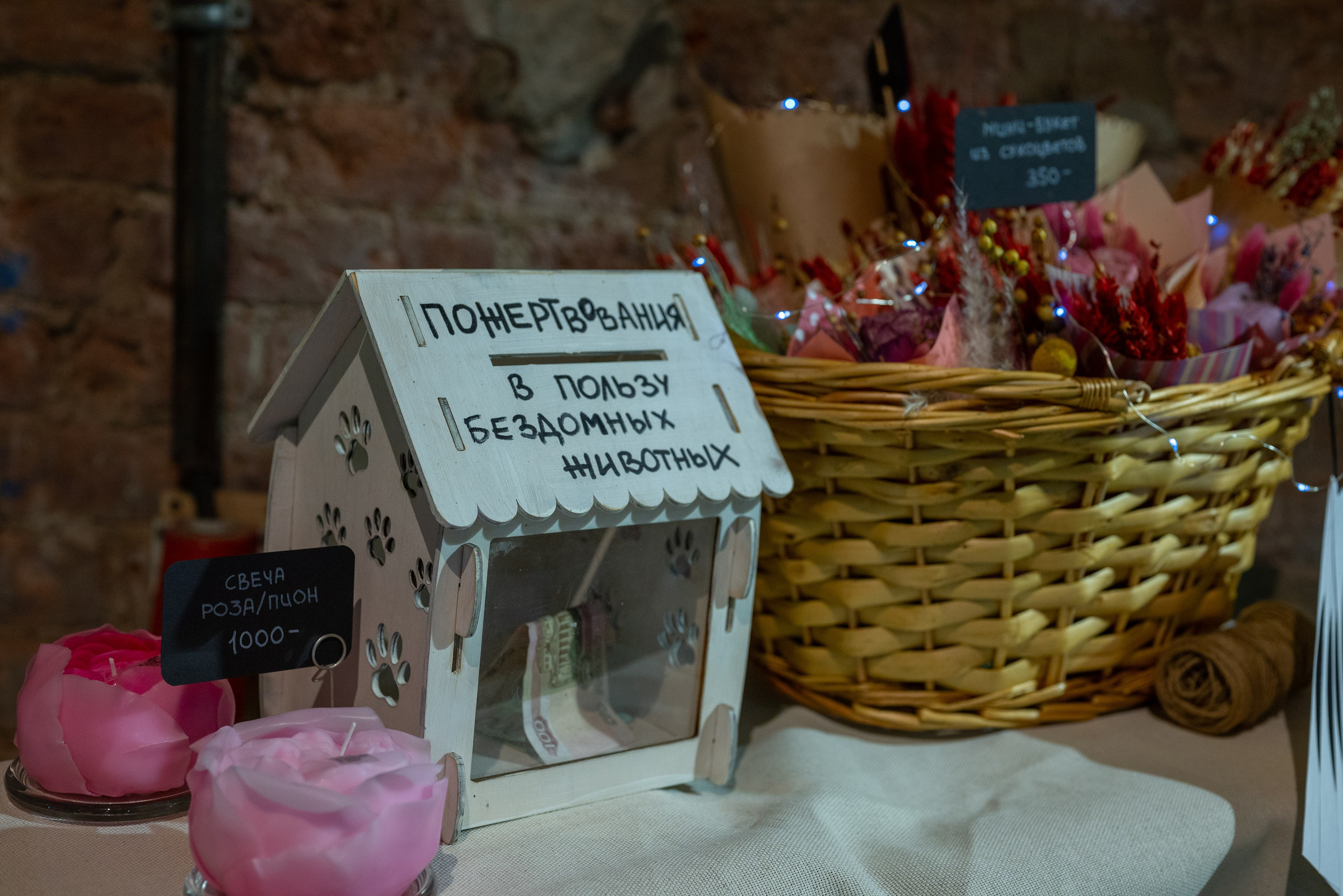 Благотворительный фестиваль «Путь домой». Дарья Медведева