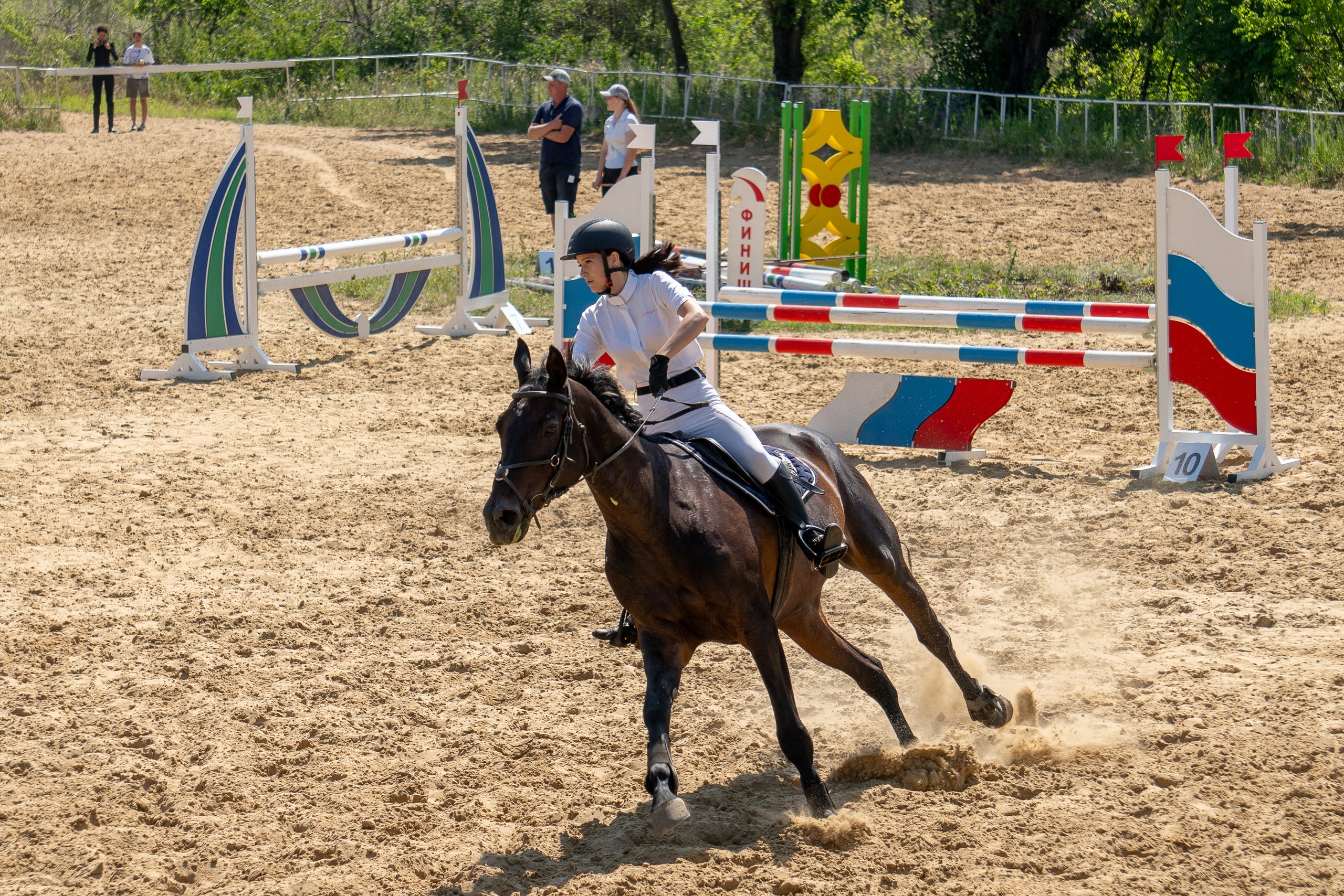 Соревнования по конкуру, Луганск. Фотограф в РФ и ЛНР Юлия Федосеева