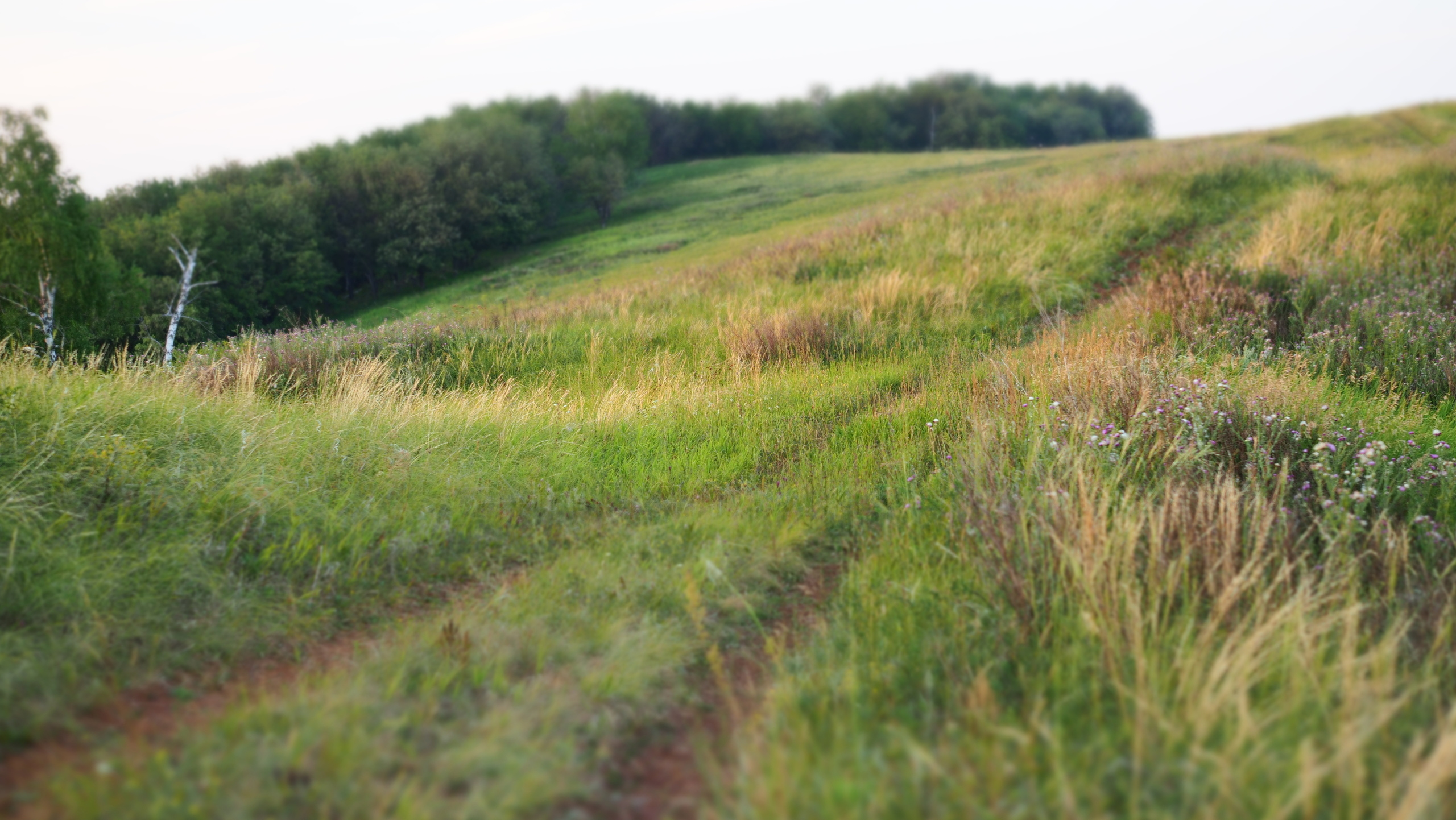 Походы и сплавы. Свадебный и семейный фотограф, видеограф. Живу в городе Нефтекамске, Б