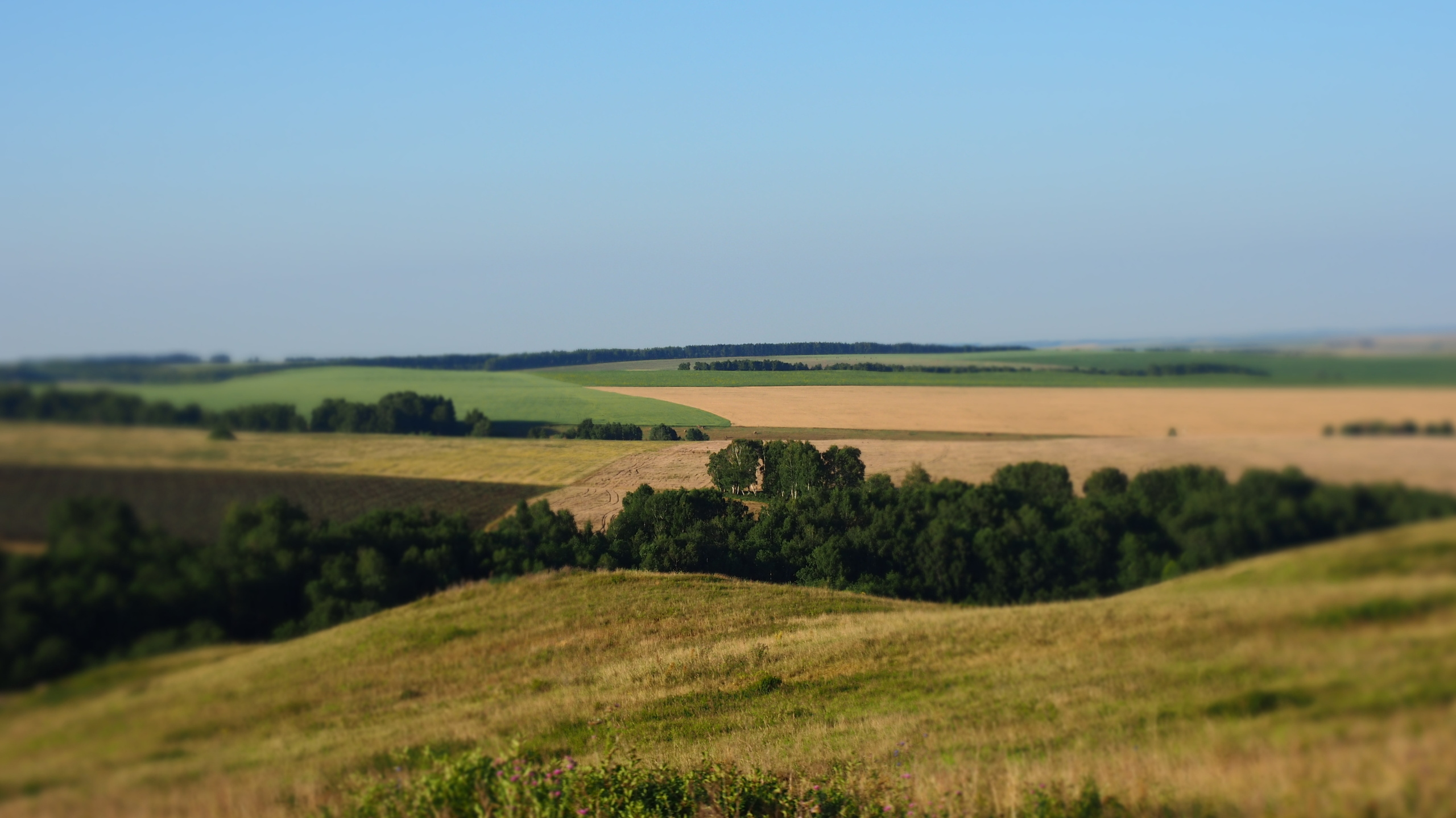 Походы и сплавы. Свадебный и семейный фотограф, видеограф. Живу в городе Нефтекамске, Б