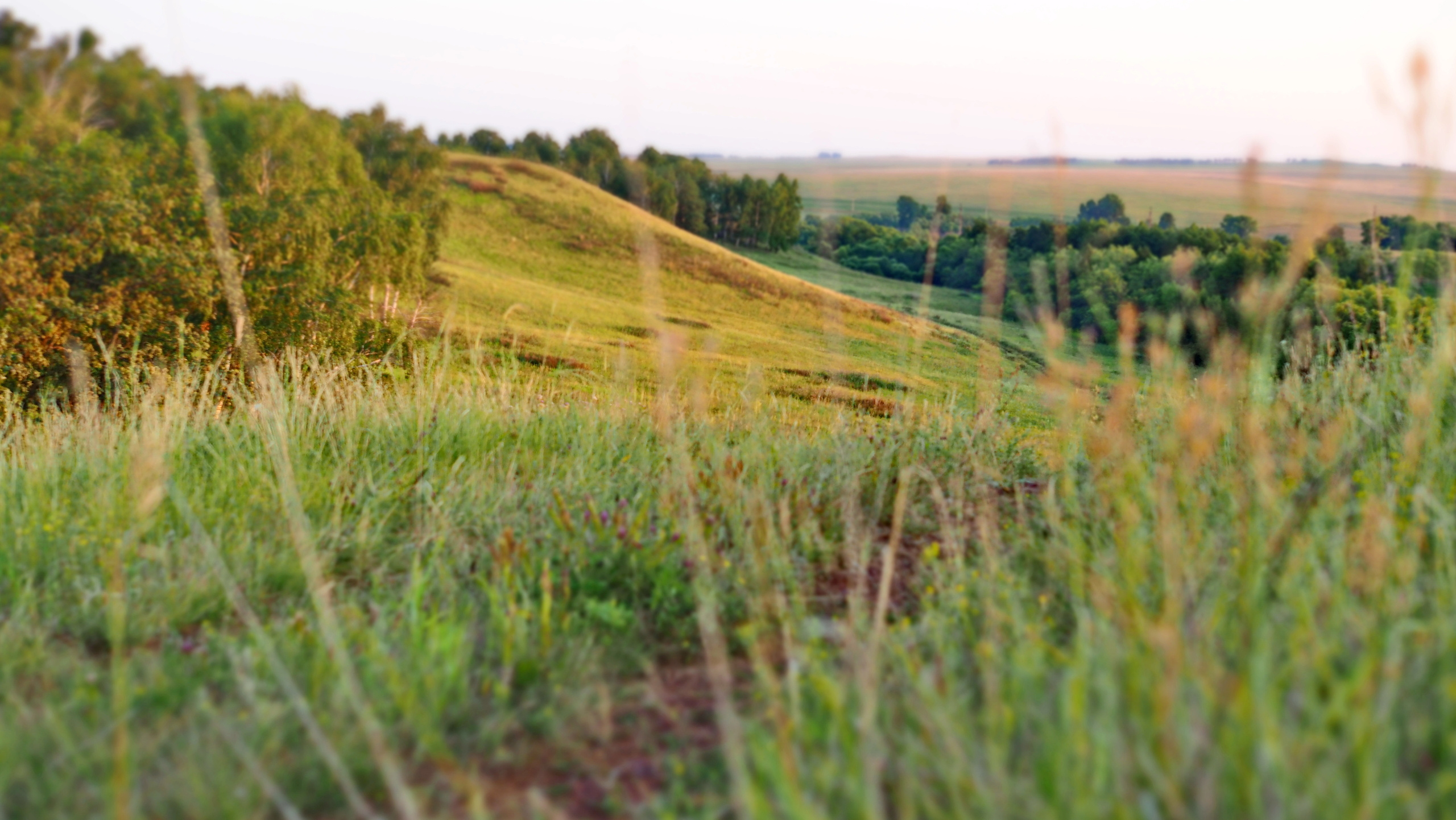 Походы и сплавы. Свадебный и семейный фотограф, видеограф. Живу в городе Нефтекамске, Б