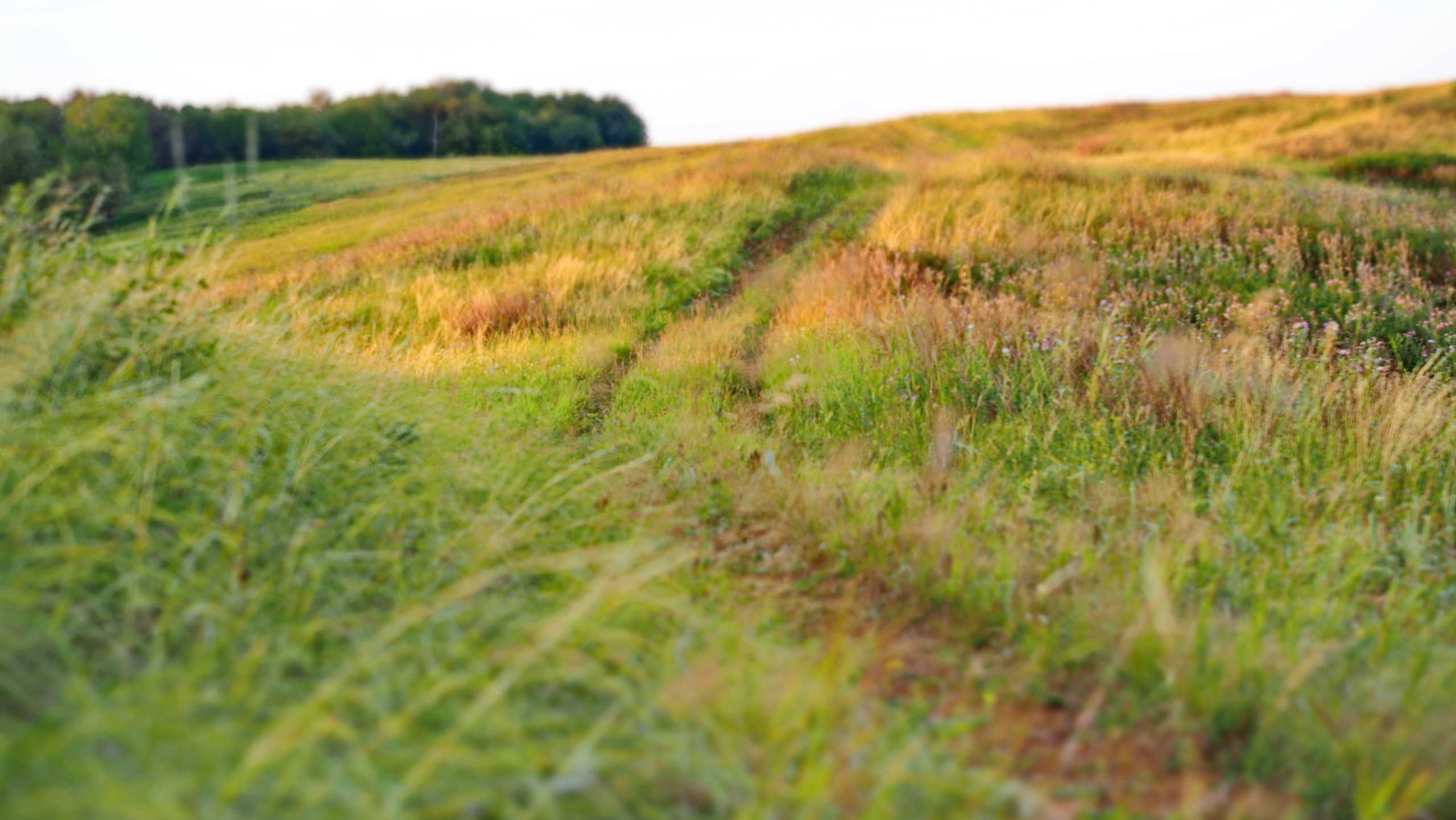 Походы и сплавы. Свадебный и семейный фотограф, видеограф. Живу в городе Нефтекамске, Б