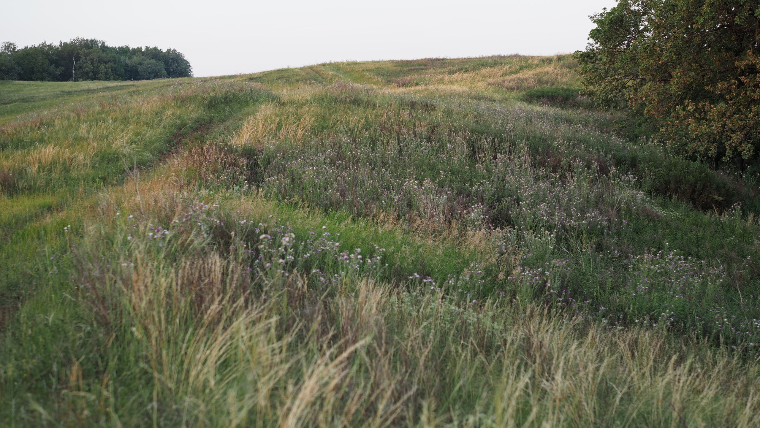 Походы и сплавы. Свадебный и семейный фотограф, видеограф. Живу в городе Нефтекамске, Б