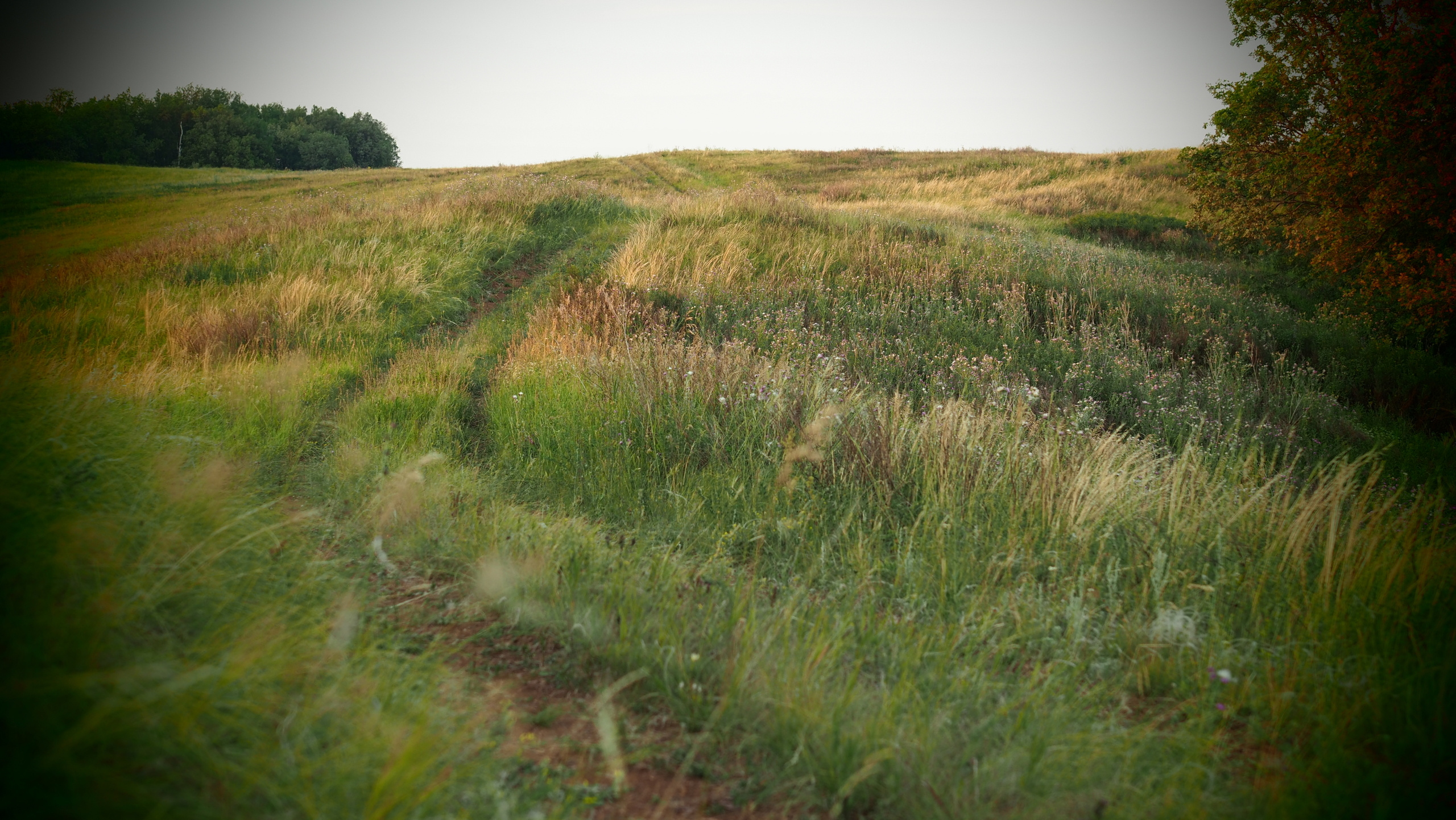 Походы и сплавы. Свадебный и семейный фотограф, видеограф. Живу в городе Нефтекамске, Б