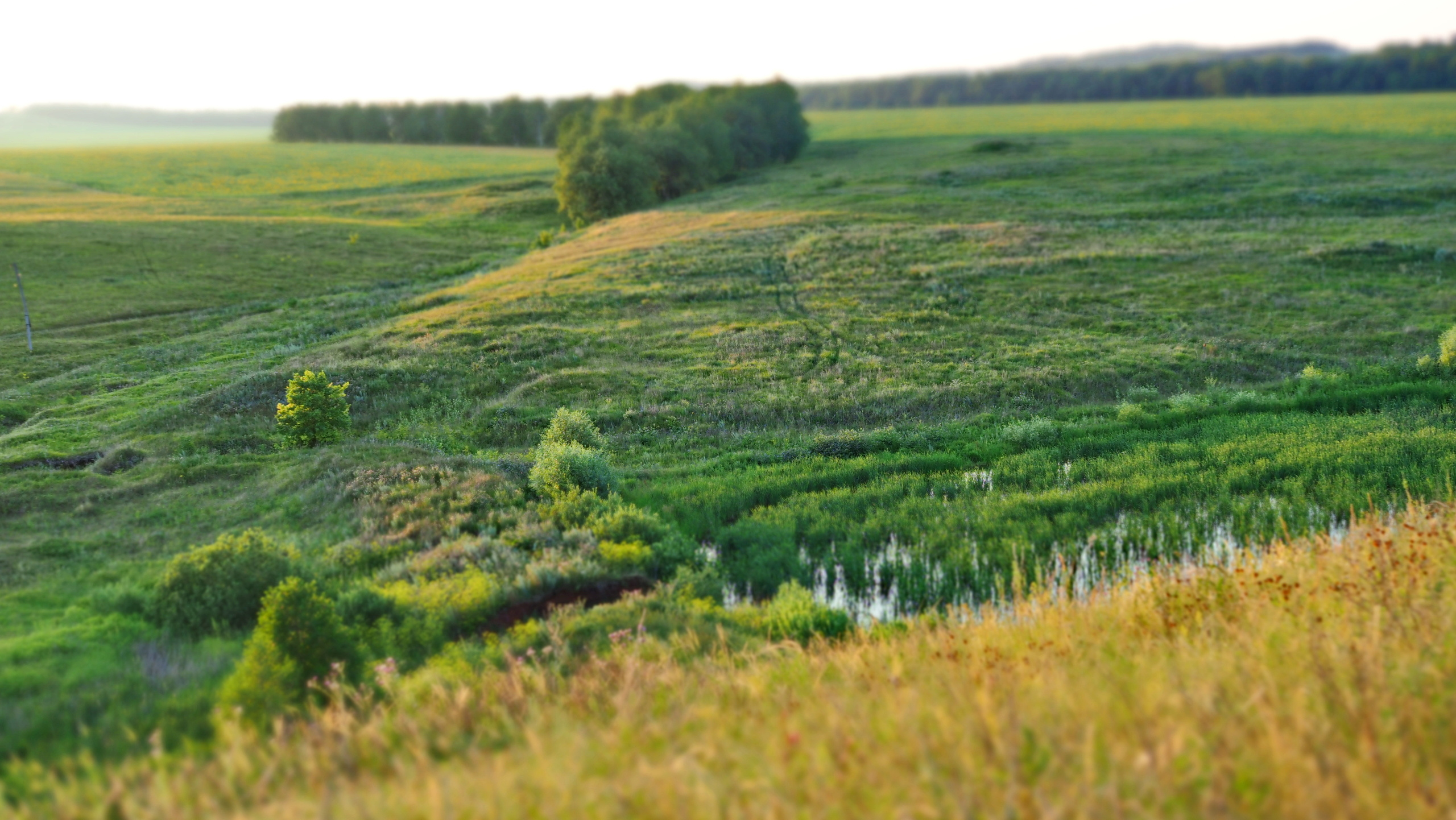 Походы и сплавы. Свадебный и семейный фотограф, видеограф. Живу в городе Нефтекамске, Б