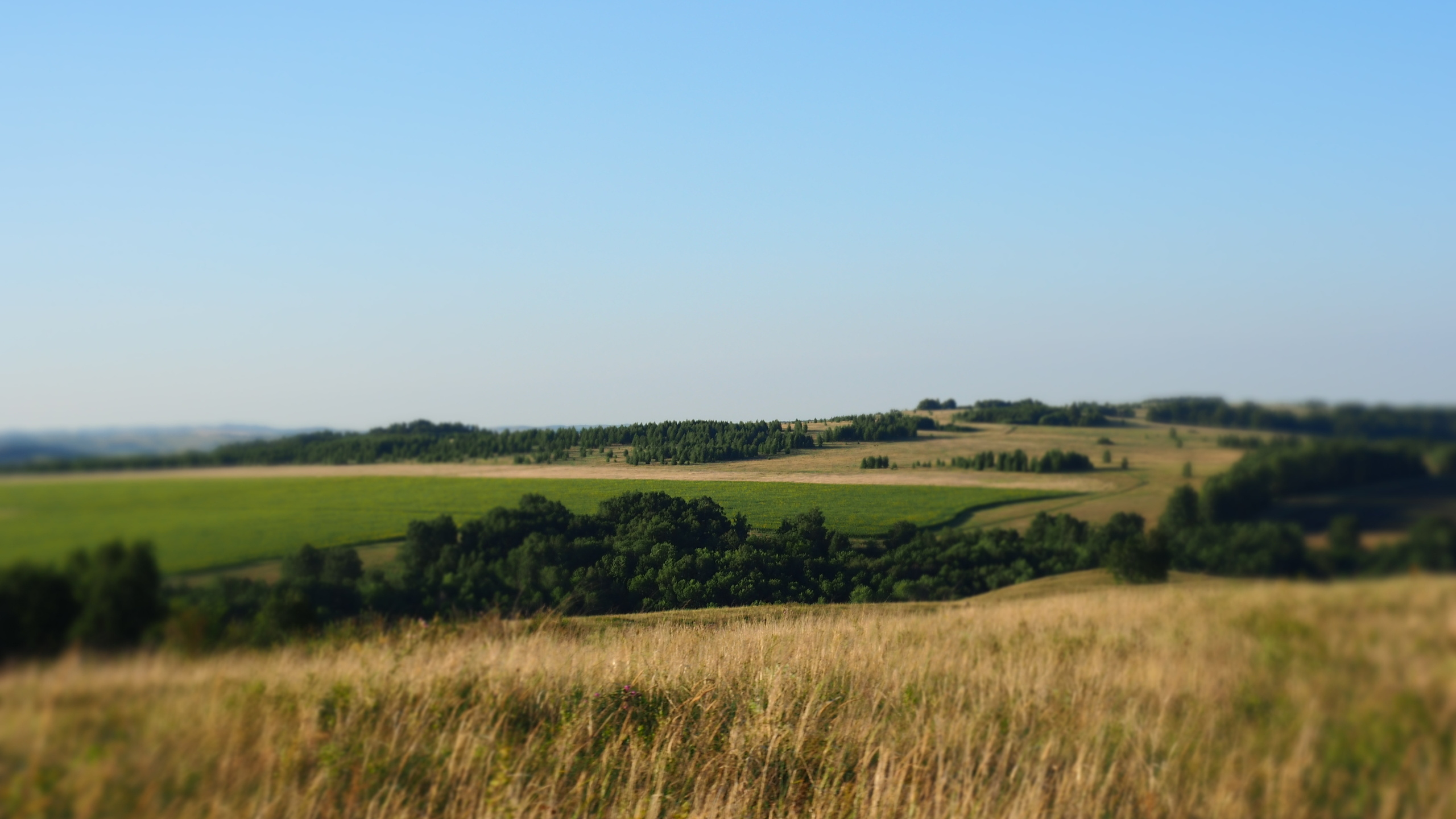 Походы и сплавы. Свадебный и семейный фотограф, видеограф. Живу в городе Нефтекамске, Б