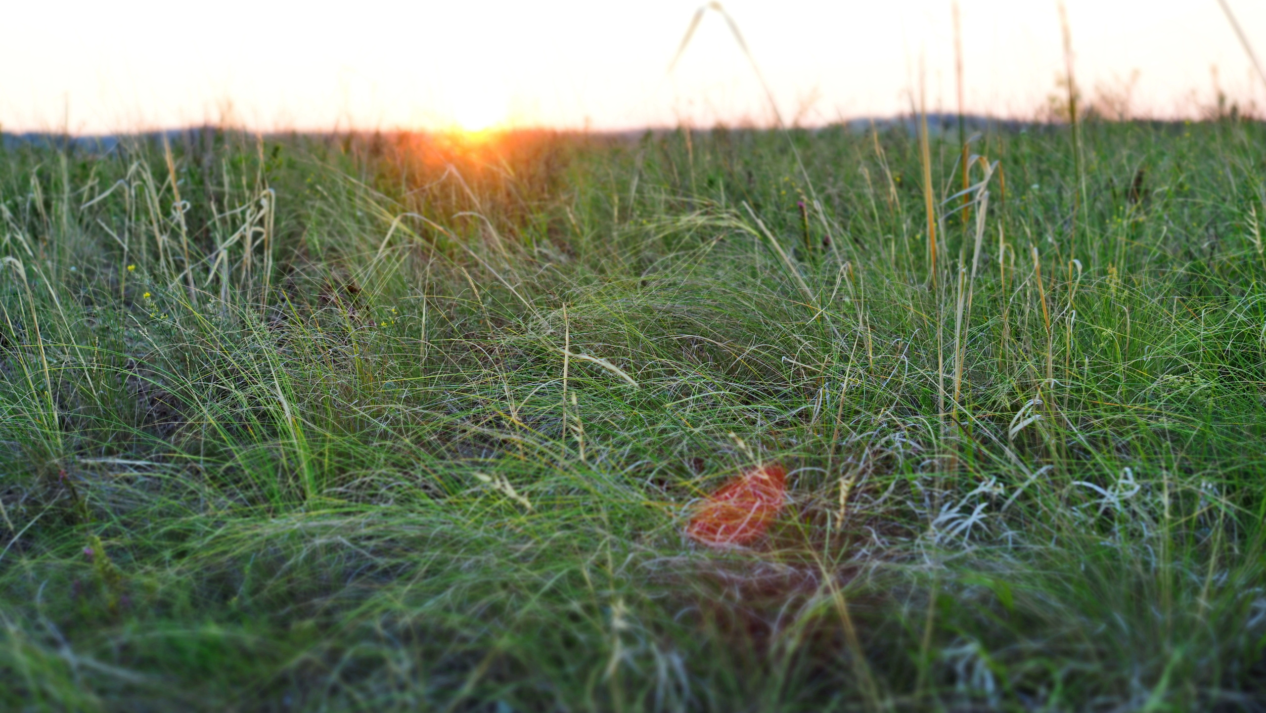 Походы и сплавы. Свадебный и семейный фотограф, видеограф. Живу в городе Нефтекамске, Б