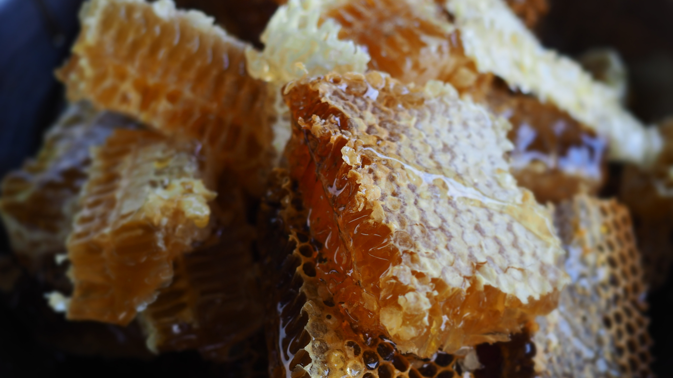 Походы и сплавы. Свадебный и семейный фотограф, видеограф. Живу в городе Нефтекамске, Б