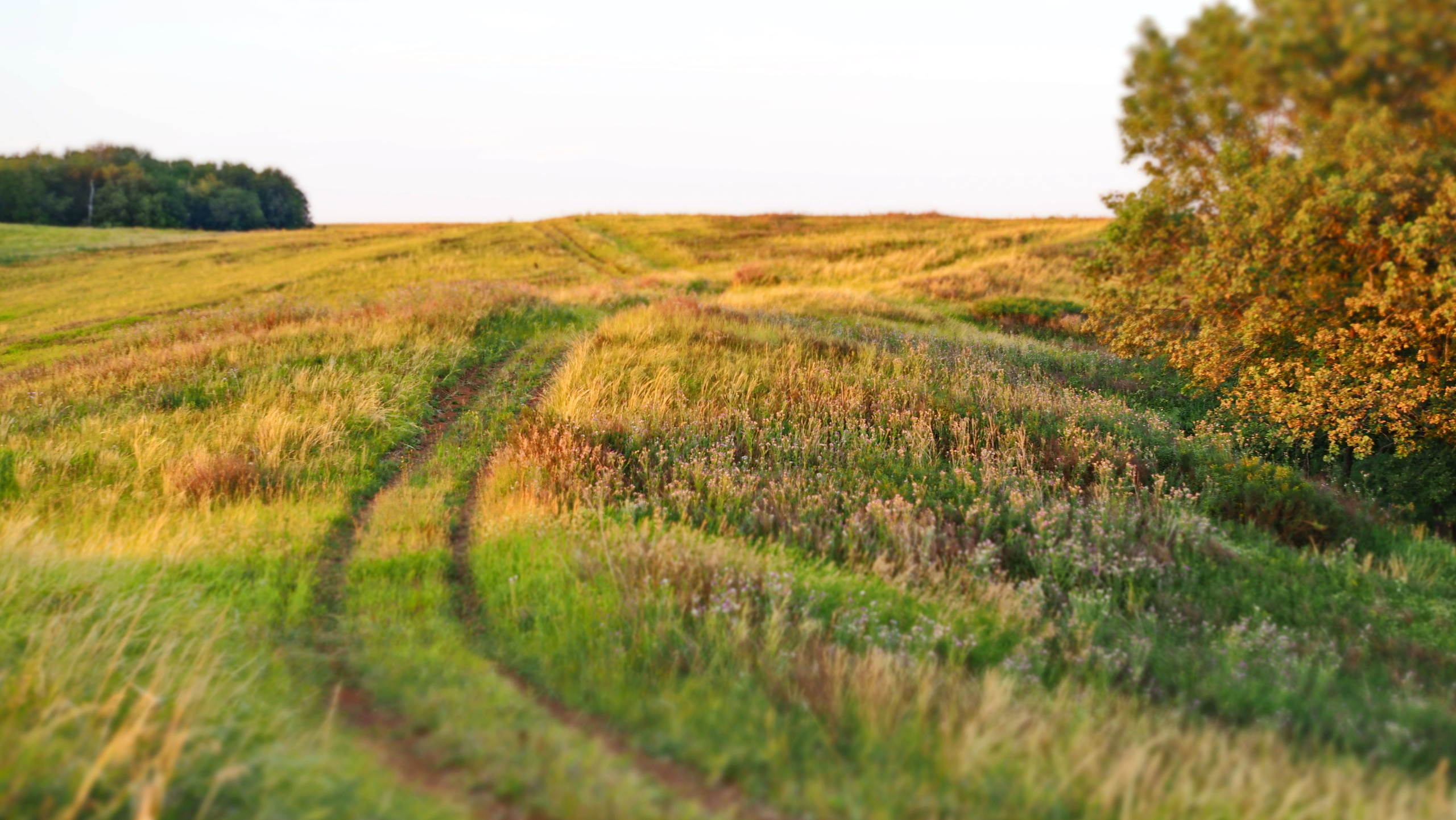 Походы и сплавы. Свадебный и семейный фотограф, видеограф. Живу в городе Нефтекамске, Б