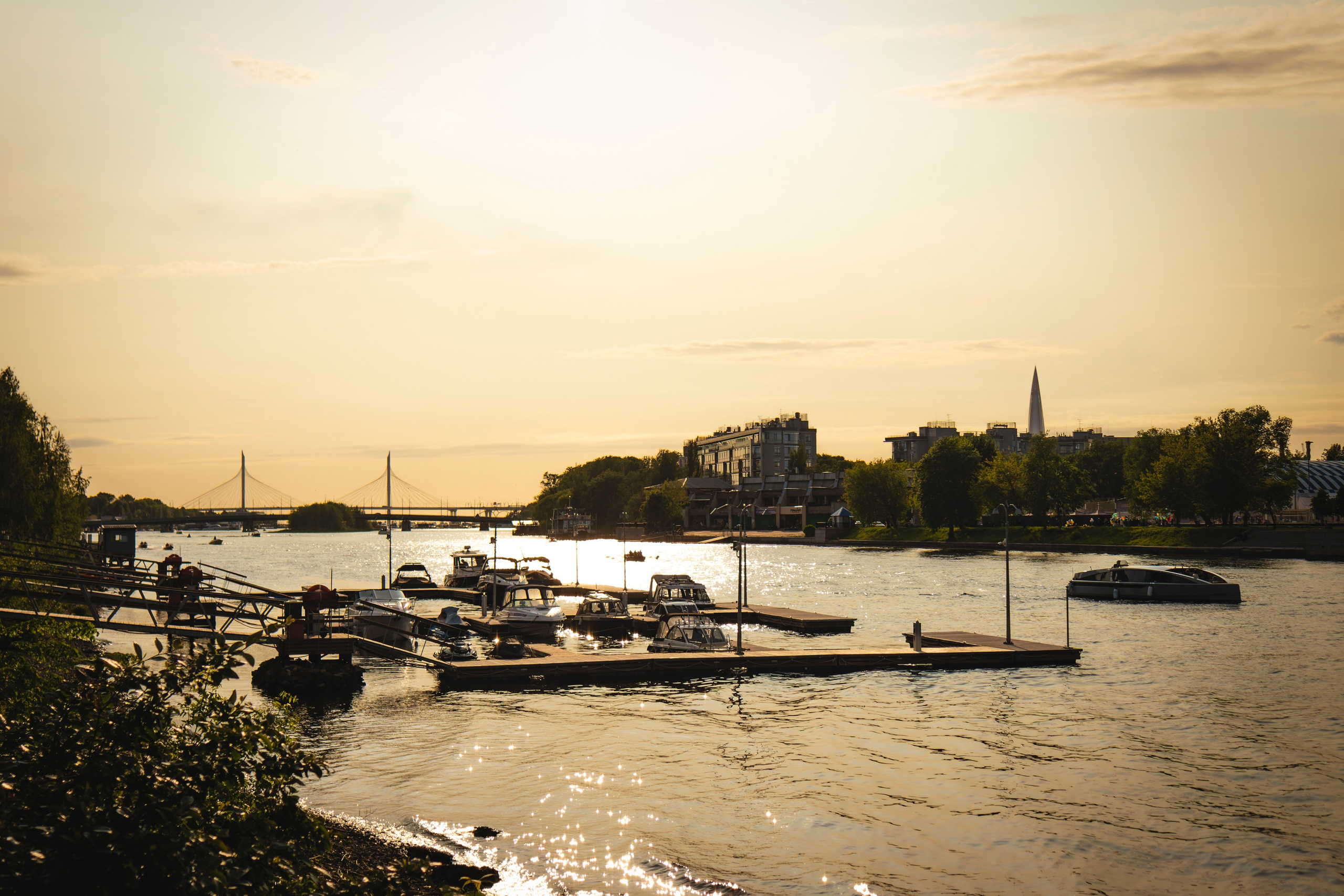 Из наблюдений. Плак или Квак