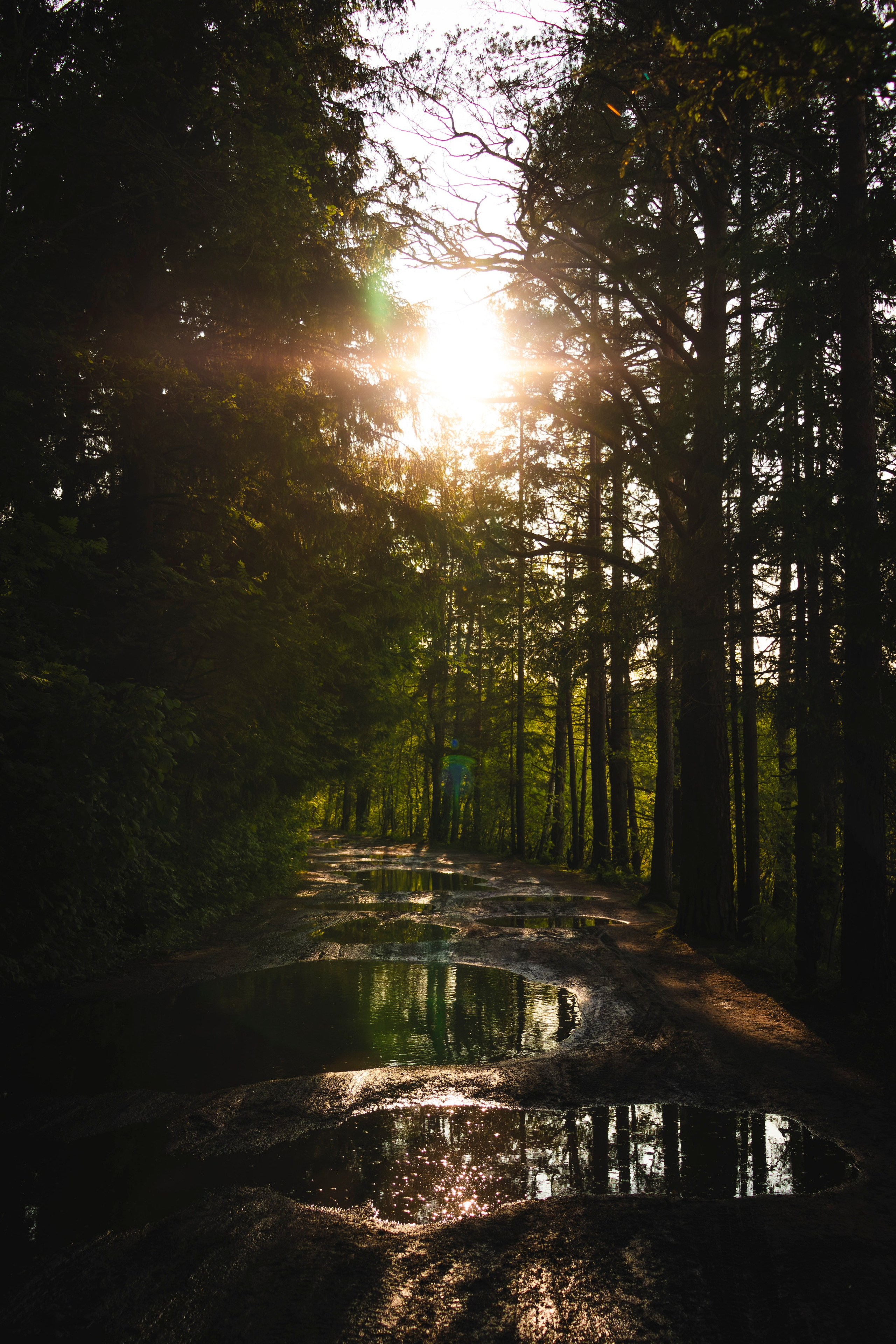 Из наблюдений. Плак или Квак