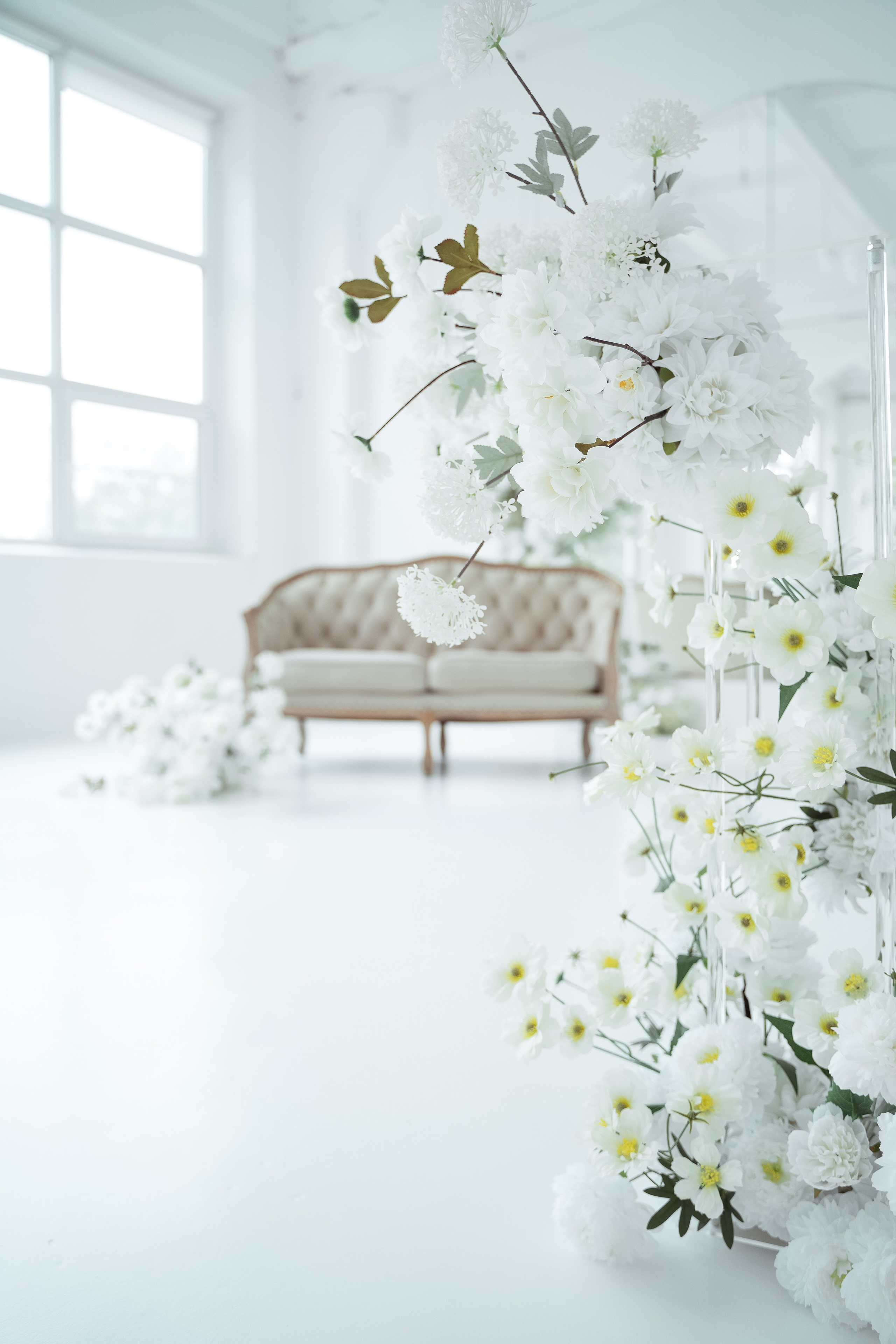 Ренессанс (студия Спутник). Фотограф г. Хабаровск. Семейные и индивидуальные съёмки