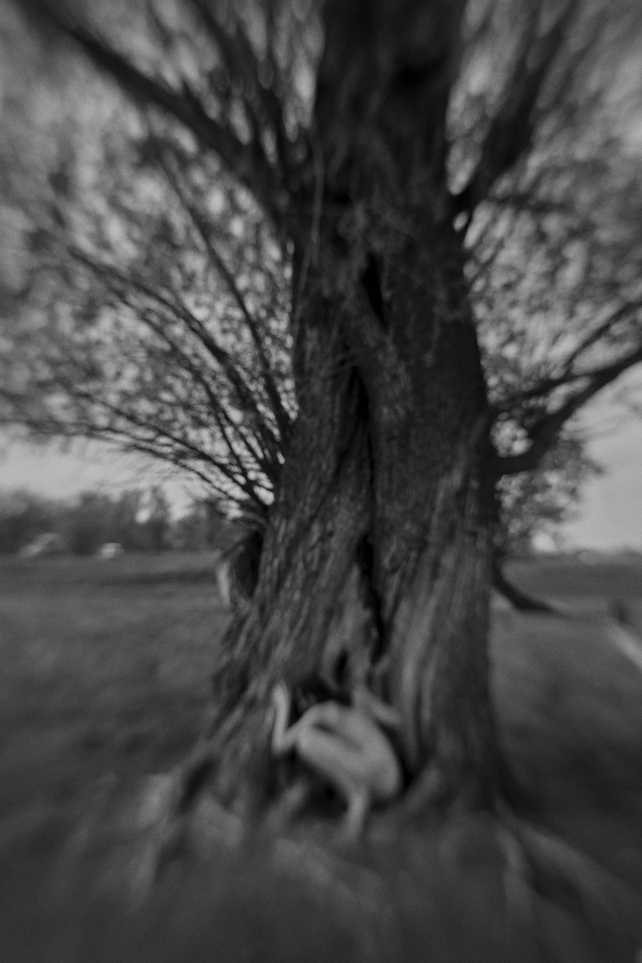 Visual artist/photographer Dayneko Tatyana Krasnoyarsk