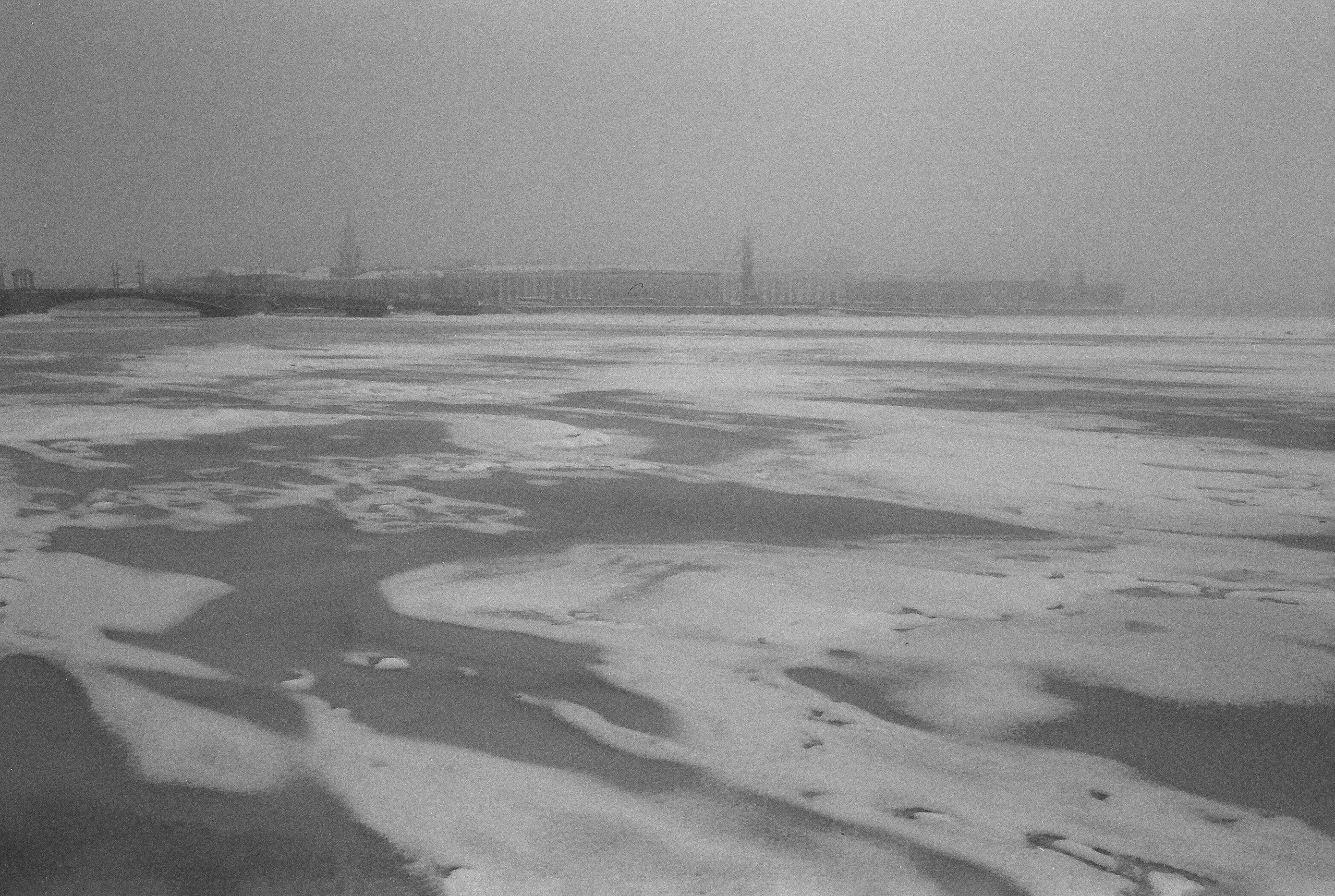 Фотографии черно-белые. Свадебный и семейный пленочный фотограф в Петербурге Истомина Ирина