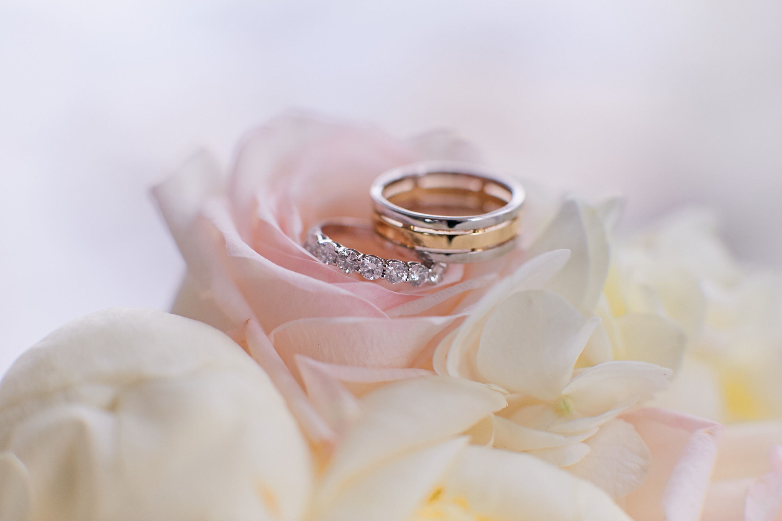 Ленар и Диляра. Семейный и свадебный фотограф в Москве Пушкино Элеонора Янбухтина