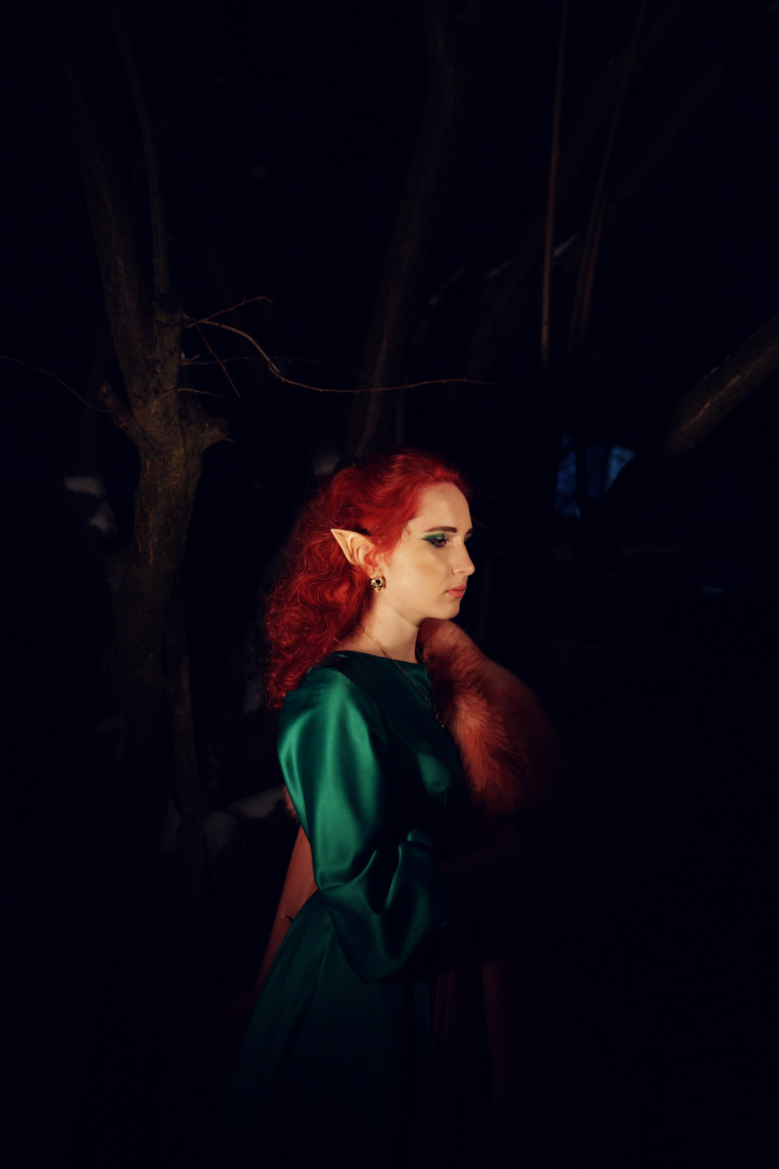 Эльфы. Арт студия «Пегас». Фото- и видео- съемка