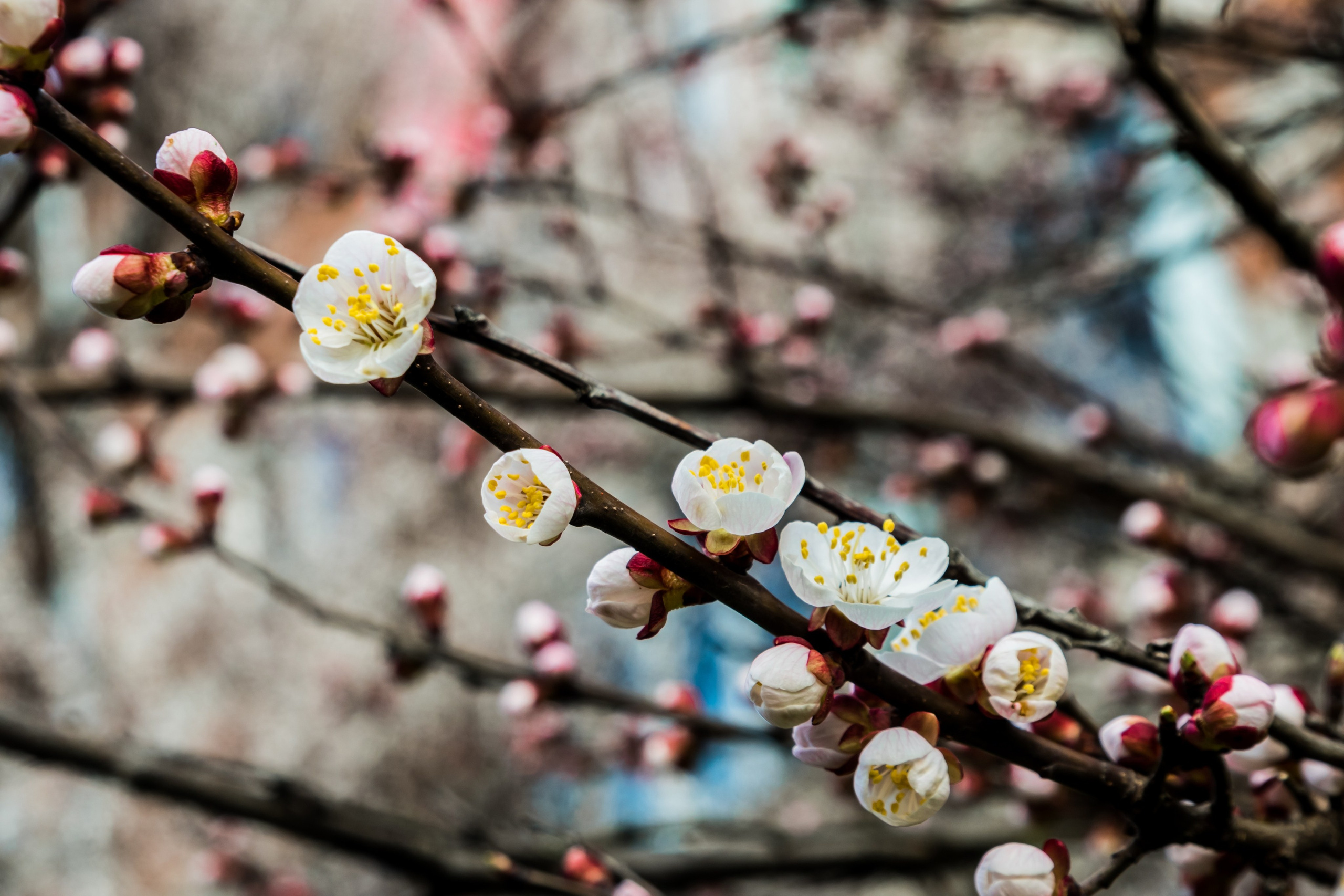 Предметная фото и видео съемка. Арт студия «Пегас». Фото- и видео- съемка
