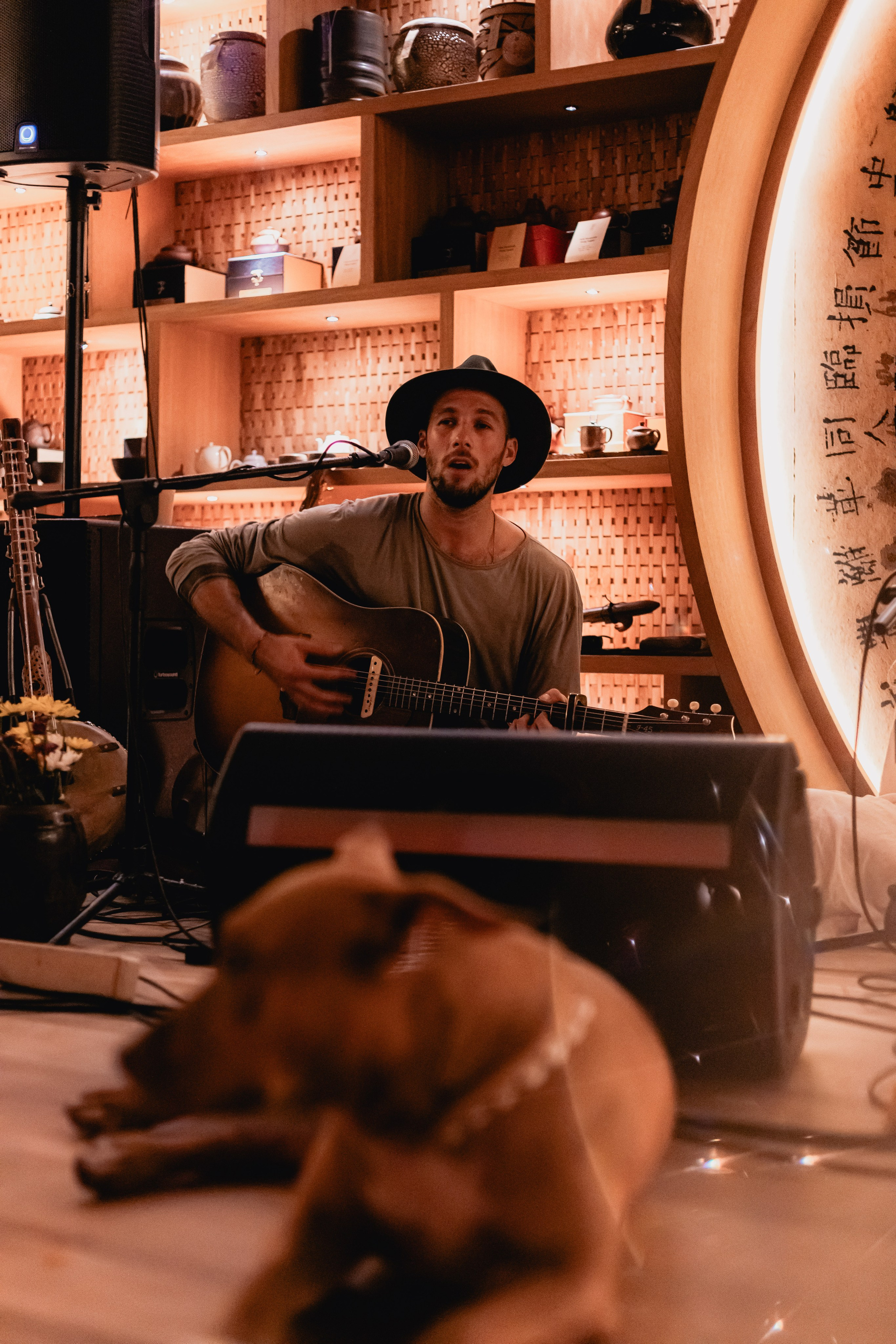 Zest New year. Мариам Багдасарян