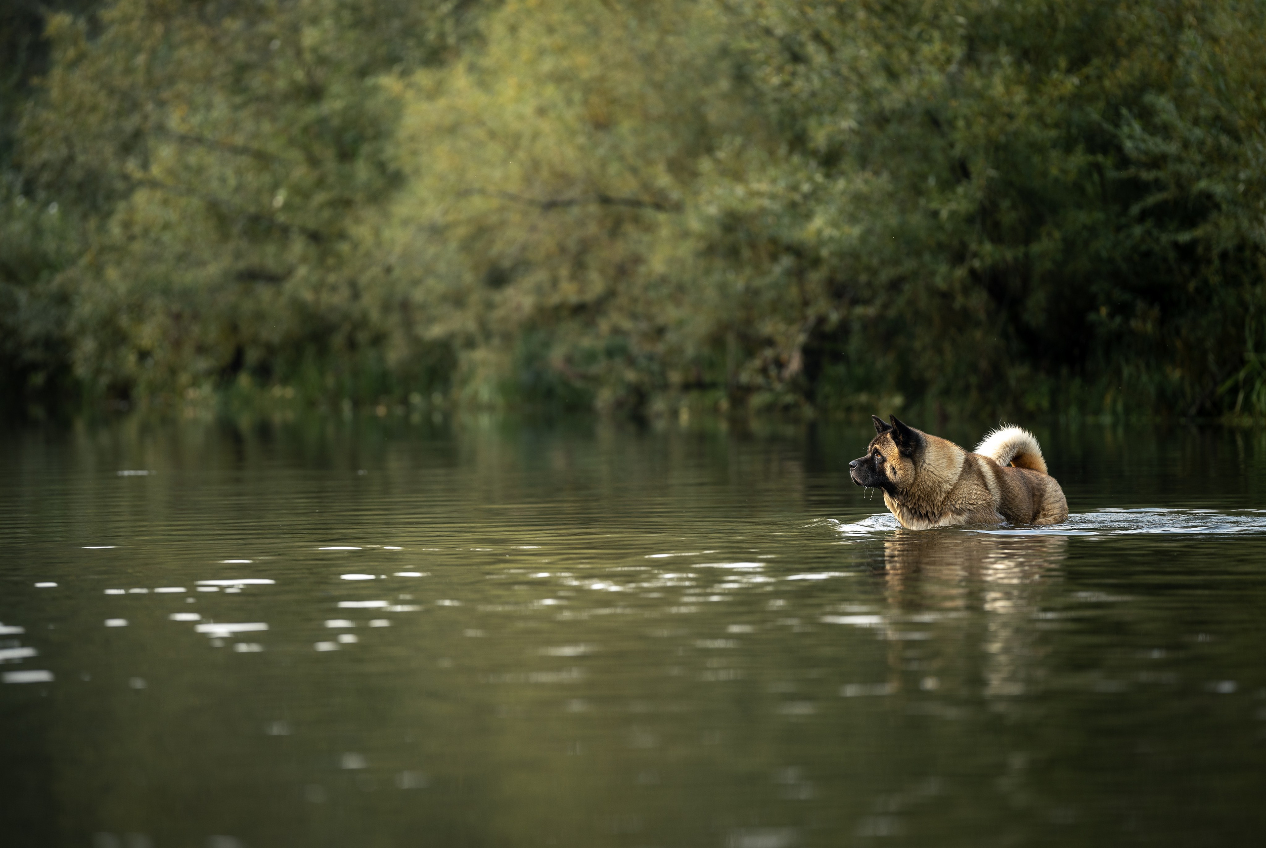 Природные пейзажи. Наталия Клевинскас портретный фотограф в Костроме