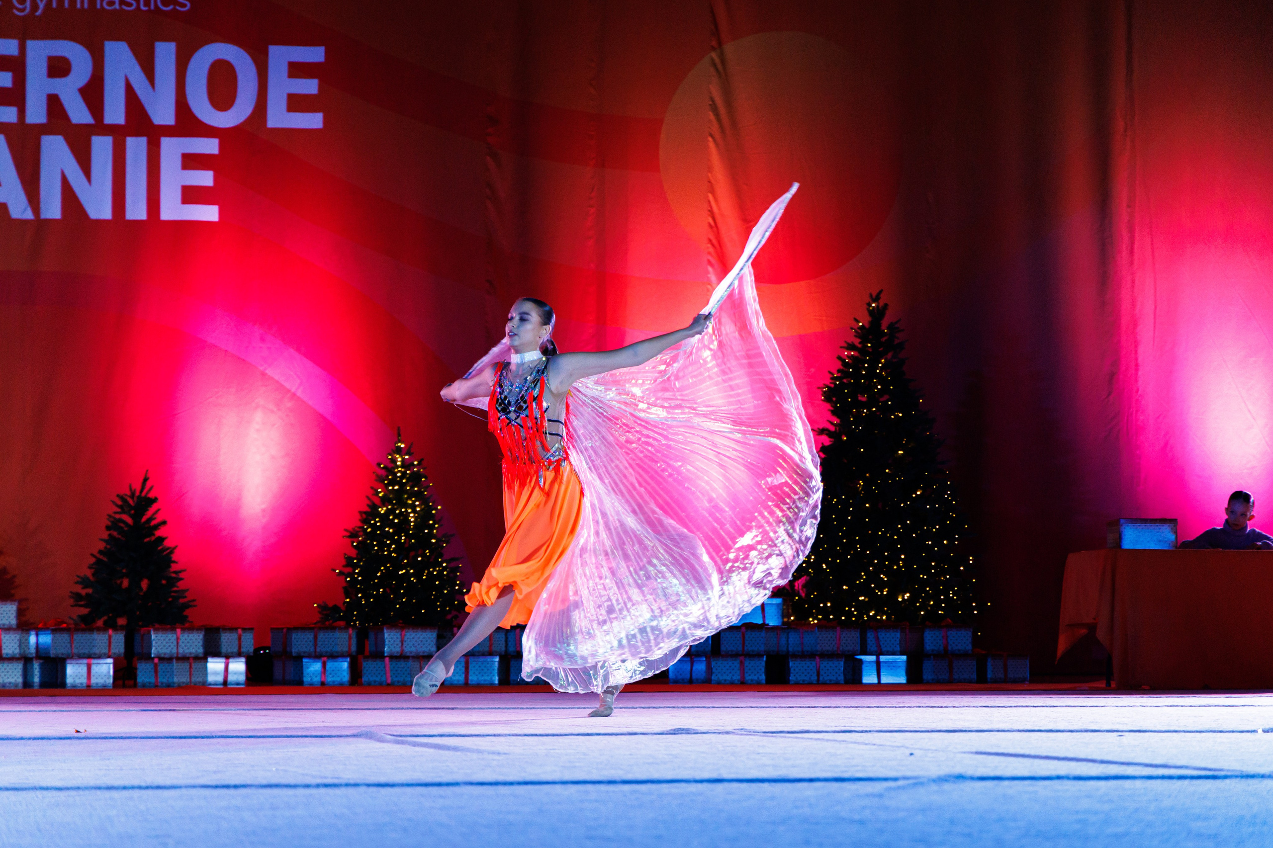 Северное Сияние отчётный концерт 2023. Репортажный, Event фотограф в Санкт-Петербурге и ЛО Морозов Дмитрий