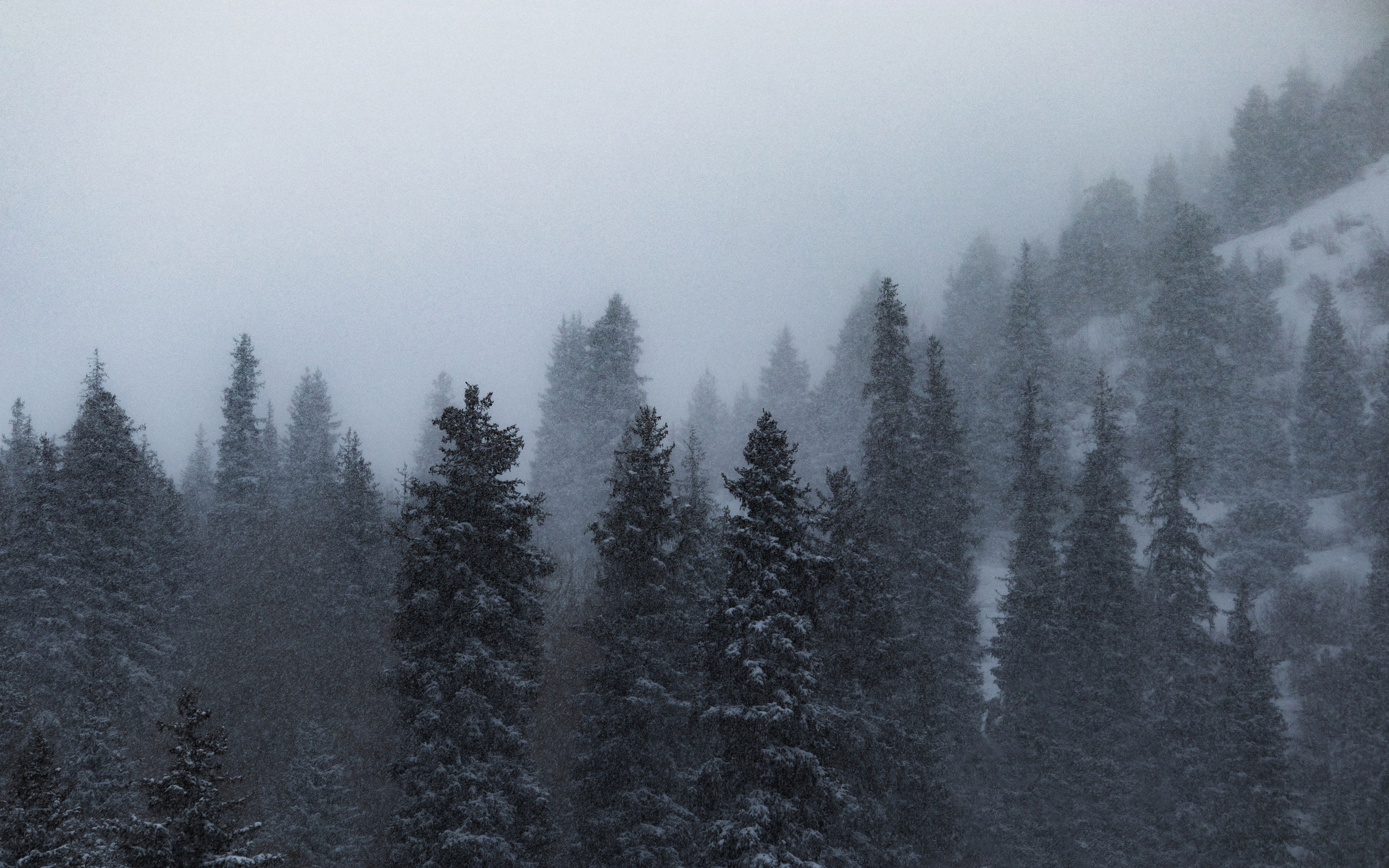 Жизнь. Фотограф Алматы | Весь мир — Никита Колодин